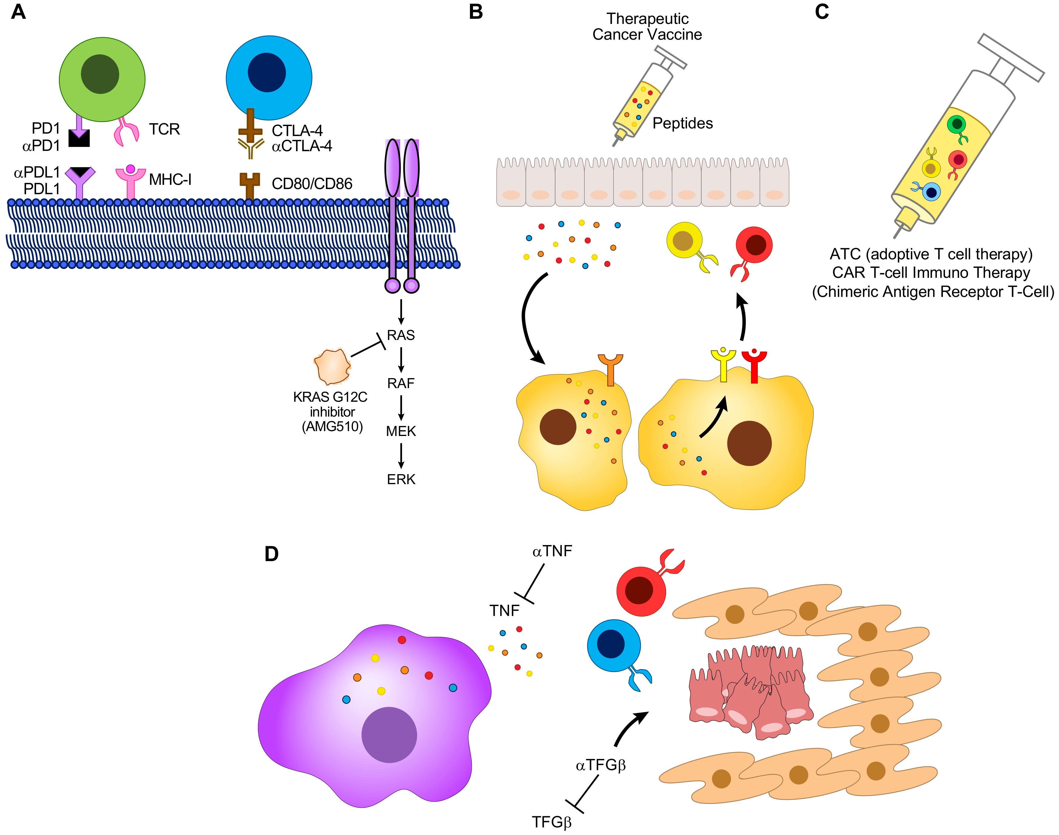 Cells Free FullText Immunotherapy, Inflammation and