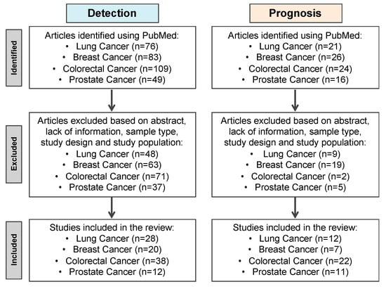 Cells Free Full Text Dna Methylation Based Testing In Liquid Biopsies As Detection And Prognostic Biomarkers For The Four Major Cancer Types Html