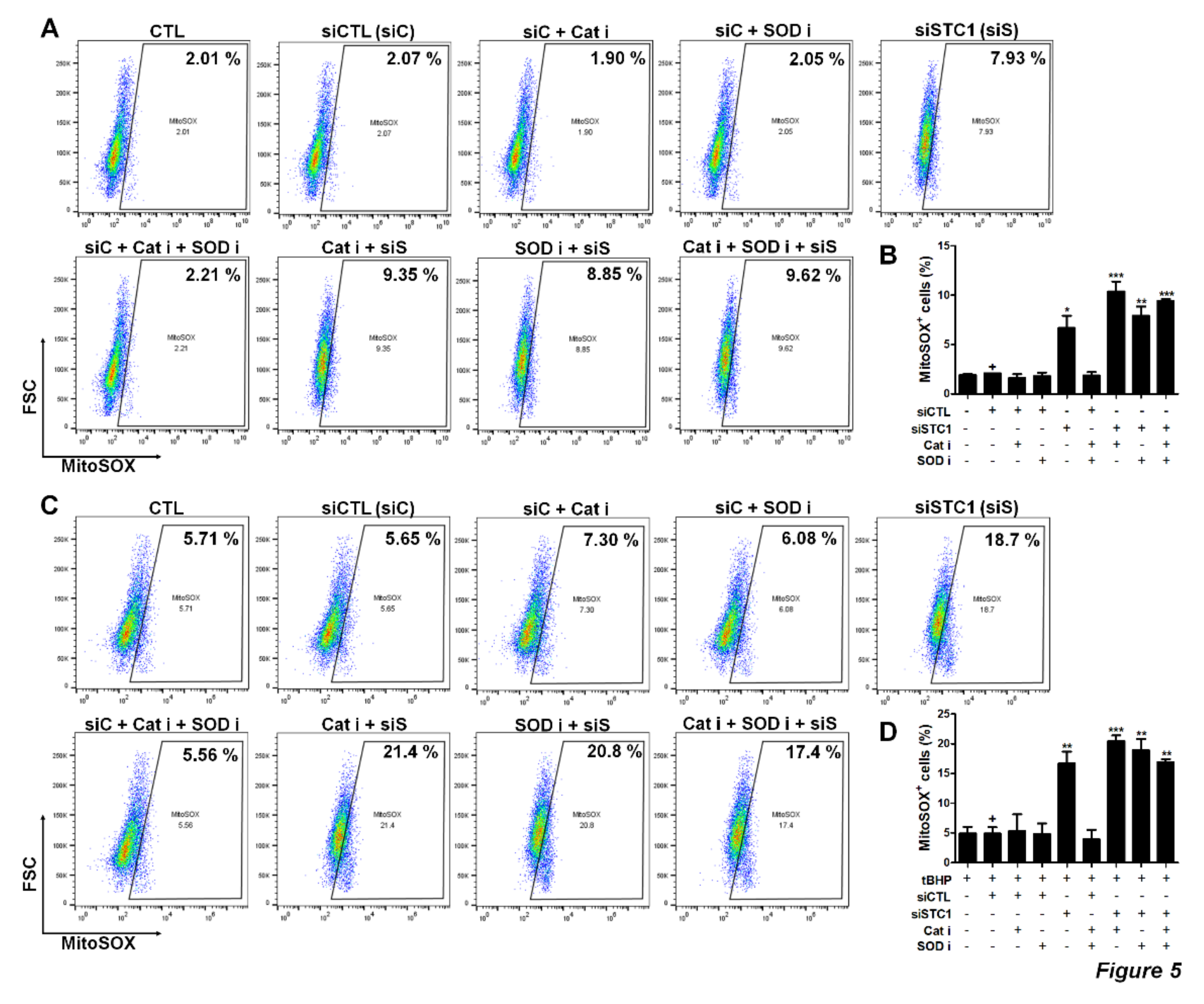 Cells 09 00636 g005 Cells 09 00636 g005