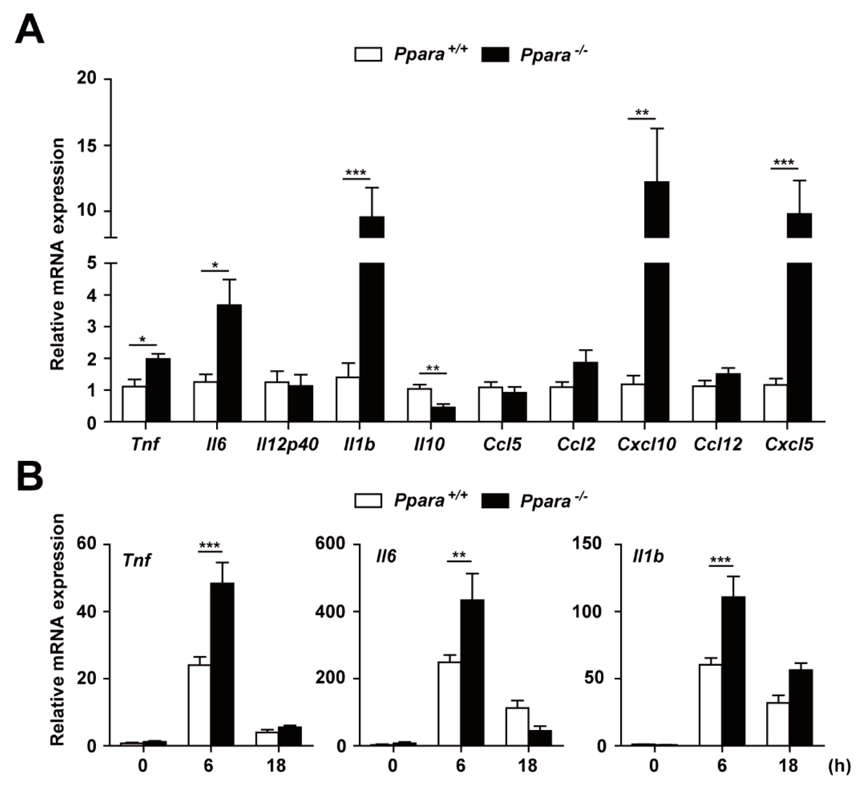 Cells 09 00648 g002a Cells 09 00648 g002a
