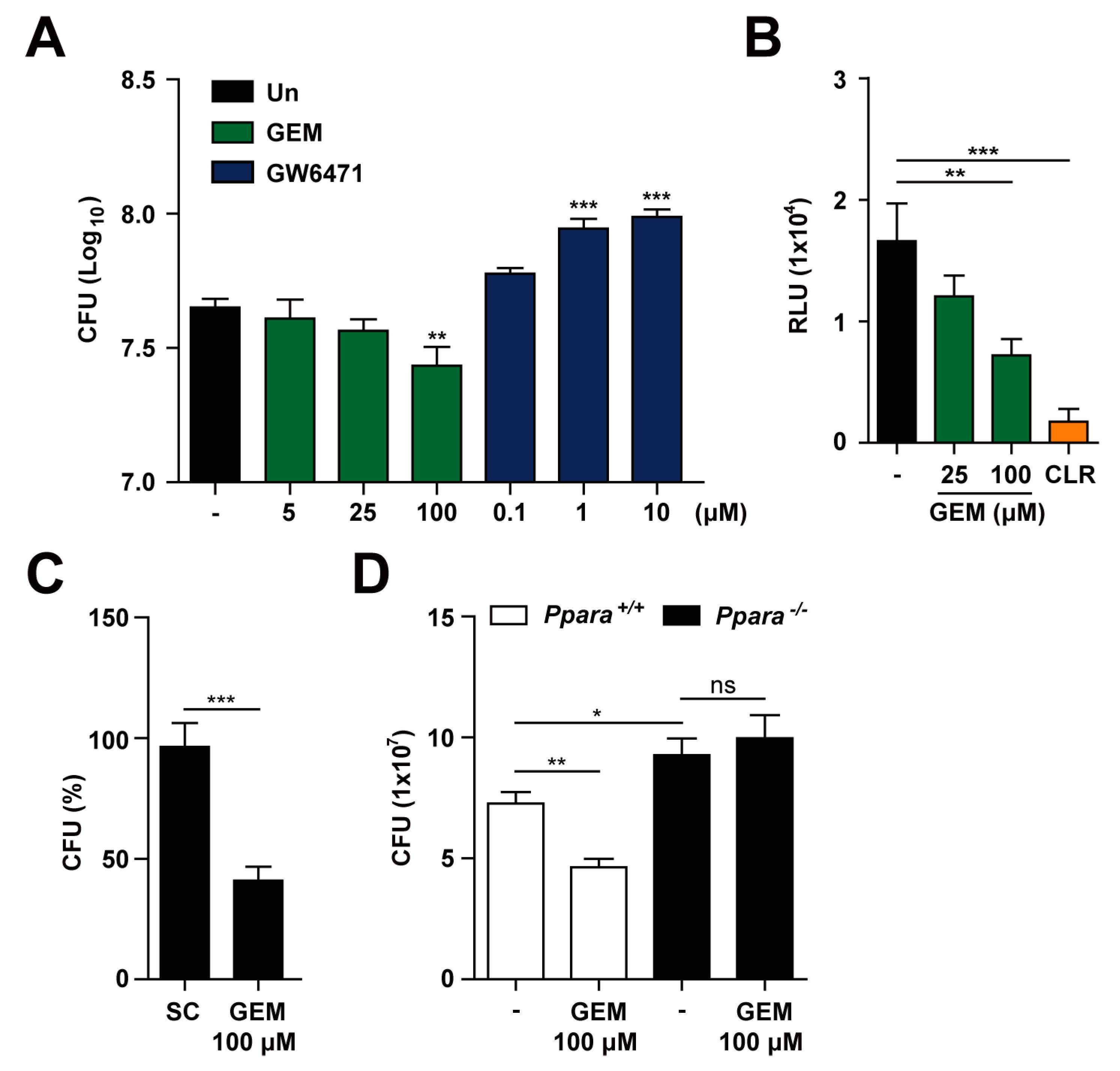 Cells 09 00648 g003 Cells 09 00648 g003