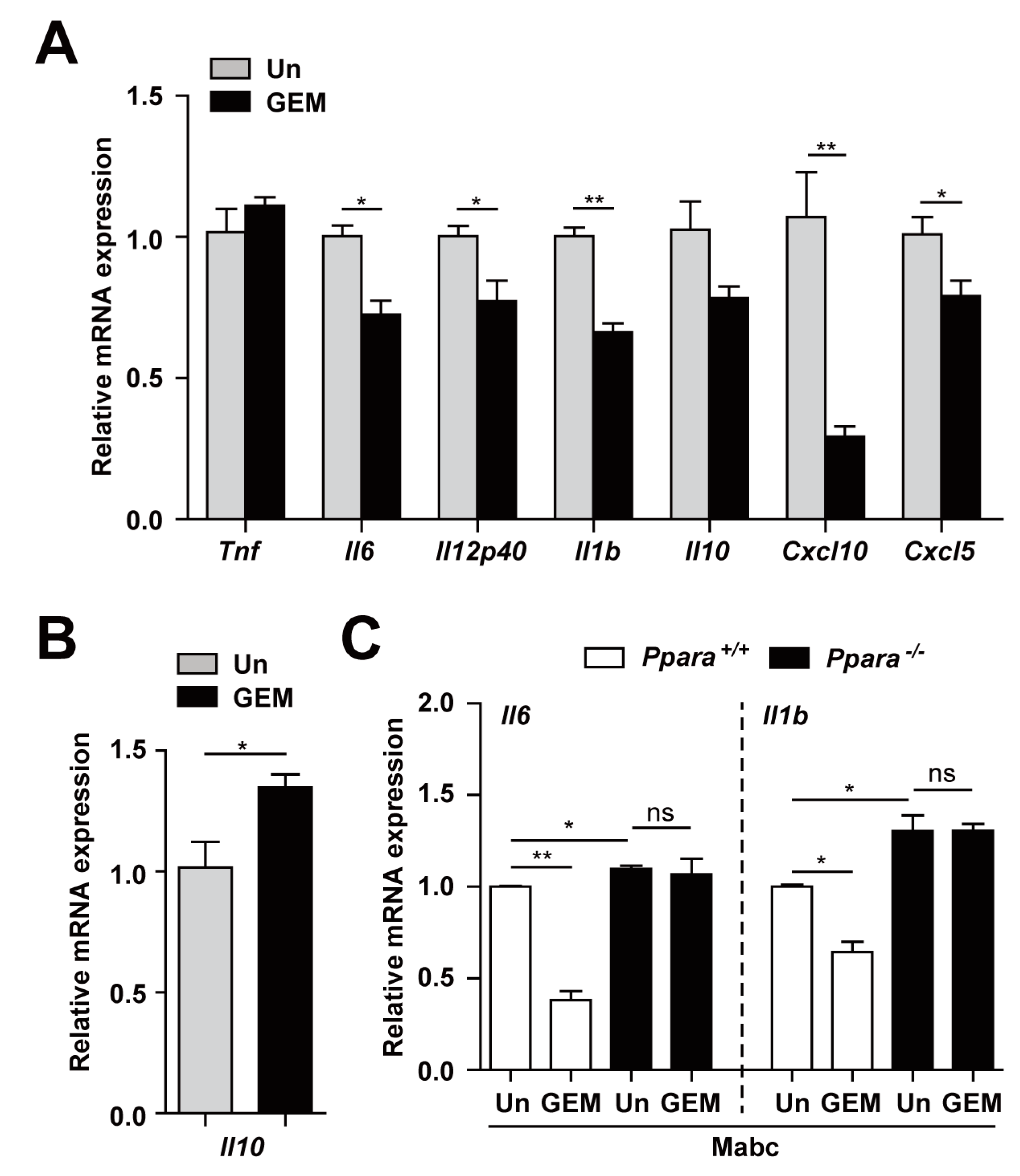 Cells 09 00648 g004 Cells 09 00648 g004