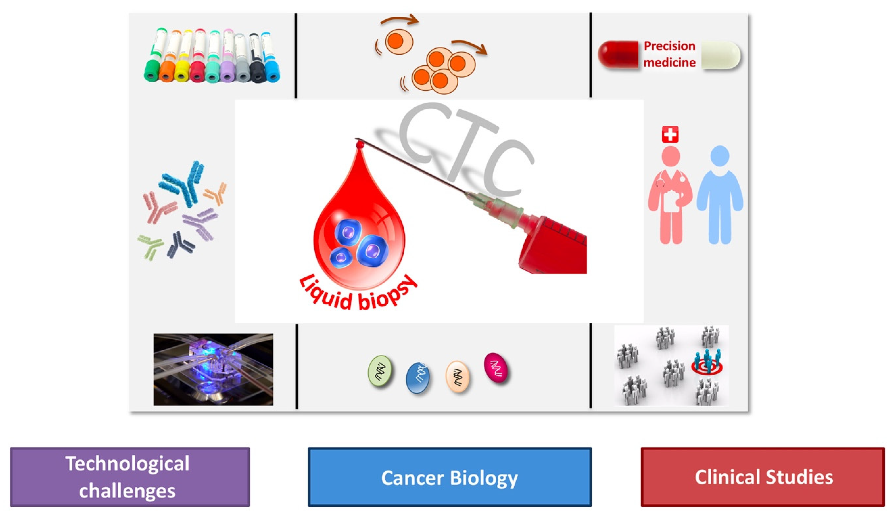Cells 09 00661 g001 Cells 09 00661 g001