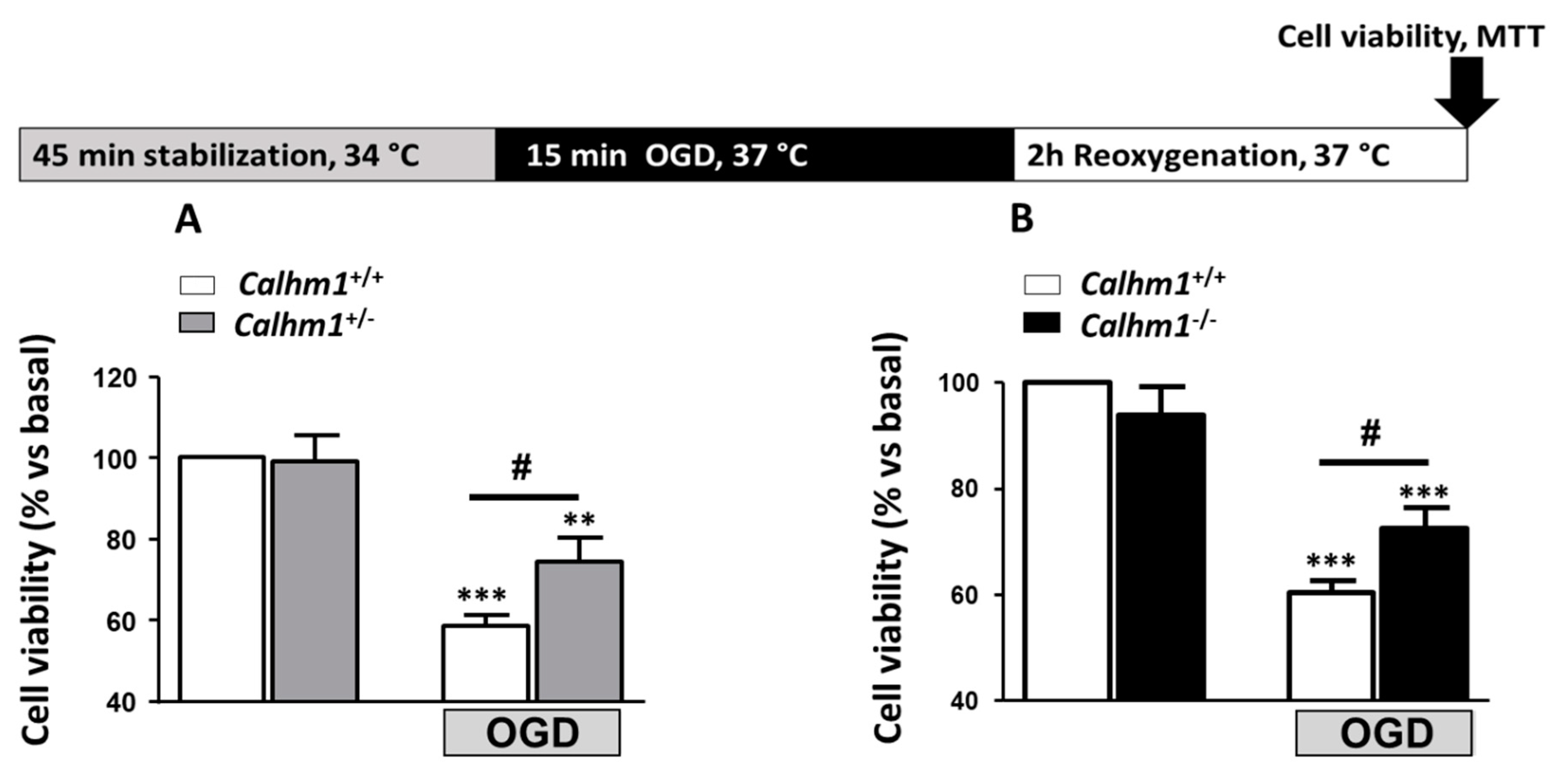 Cells 09 00664 g001 Cells 09 00664 g001