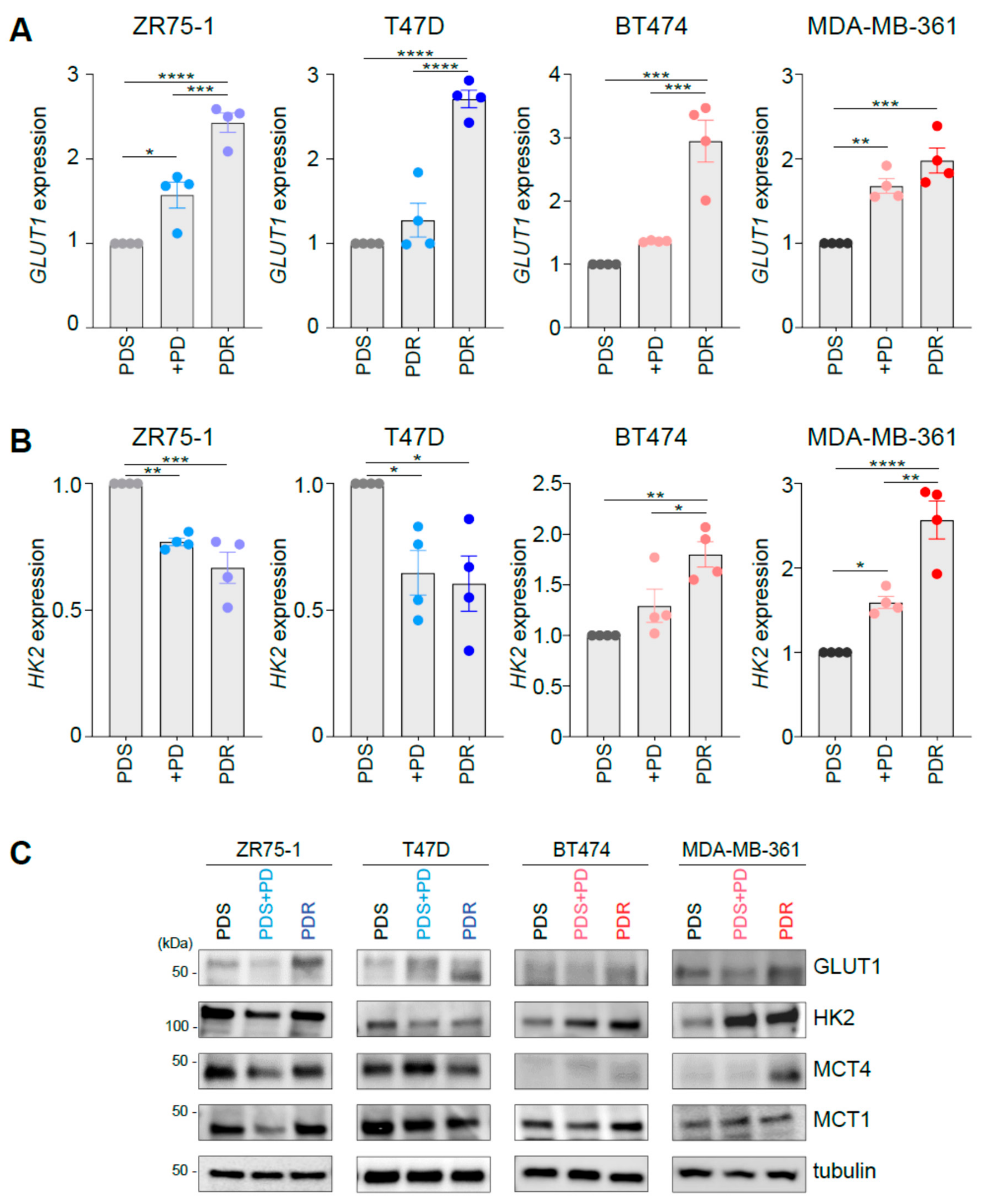 Cells Free Full Text Glucose Metabolic Reprogramming Of Er Breast Cancer In Acquired Resistance To The Cdk4 6 Inhibitor Palbociclib Html