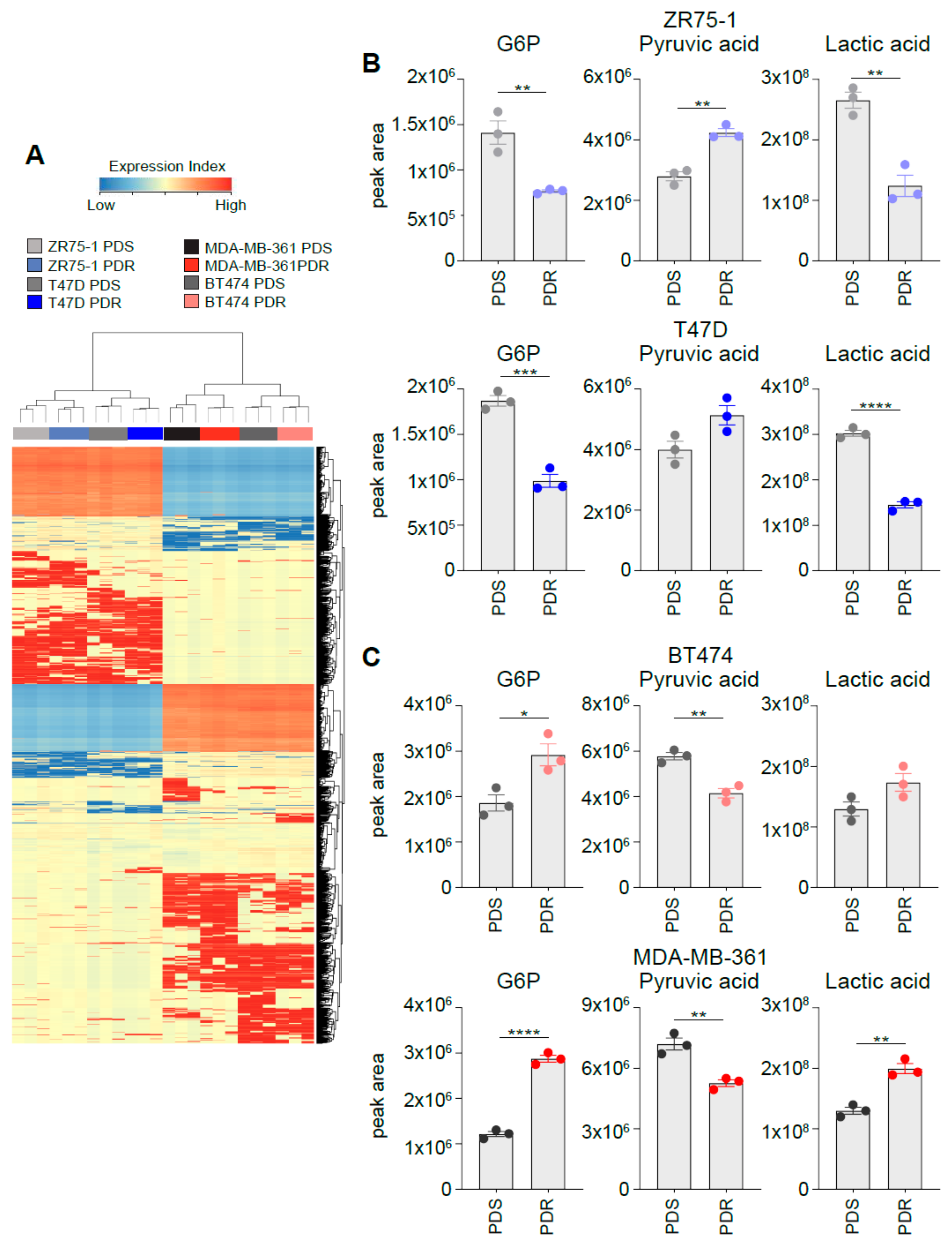 Cells Free Full Text Glucose Metabolic Reprogramming Of Er Breast Cancer In Acquired Resistance To The Cdk4 6 Inhibitor Palbociclib Html