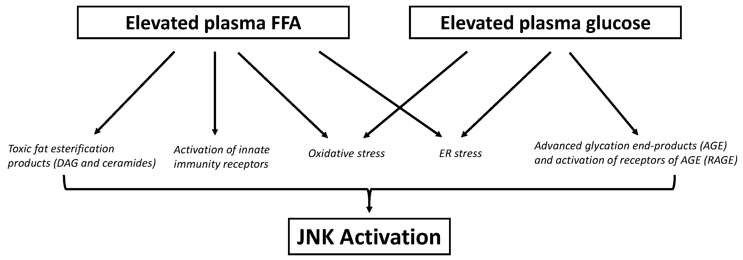Cells 09 00706 g003 Cells 09 00706 g003