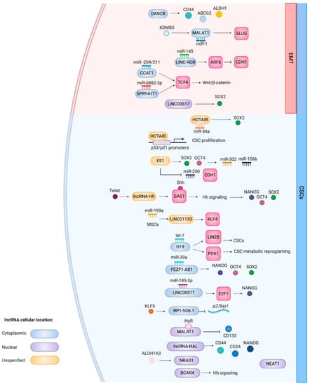 Cells | Free Full-Text | The Missing Lnc: The Potential of Targeting  Triple-Negative Breast Cancer and Cancer Stem Cells by Inhibiting Long  Non-Coding RNAs