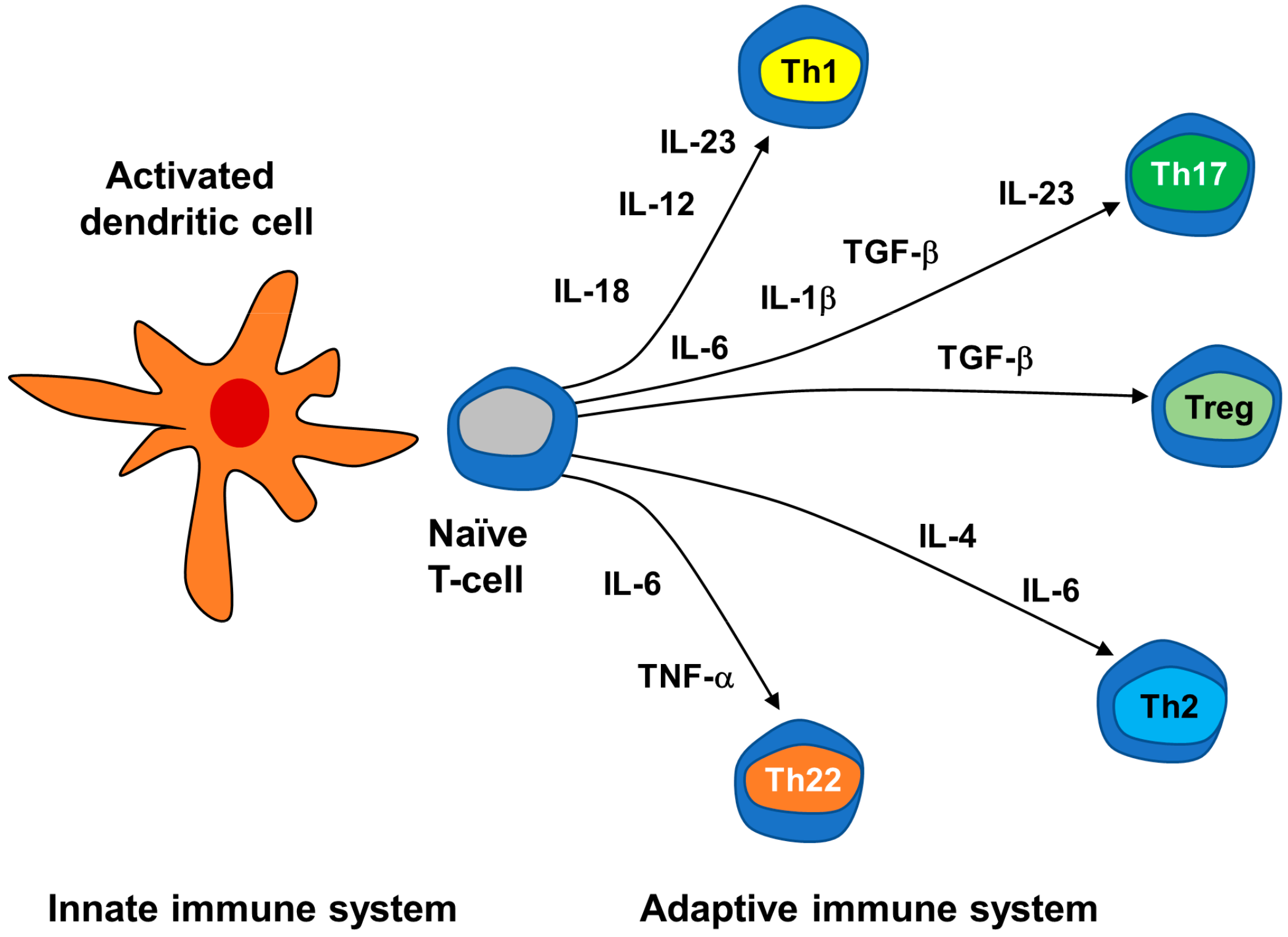Cells 09 00796 g002 Cells 09 00796 g002