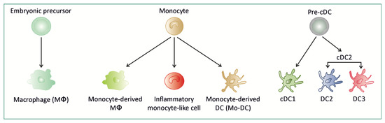 Cells | Free Full-Text | Single-Cell Protein and RNA Expression ...