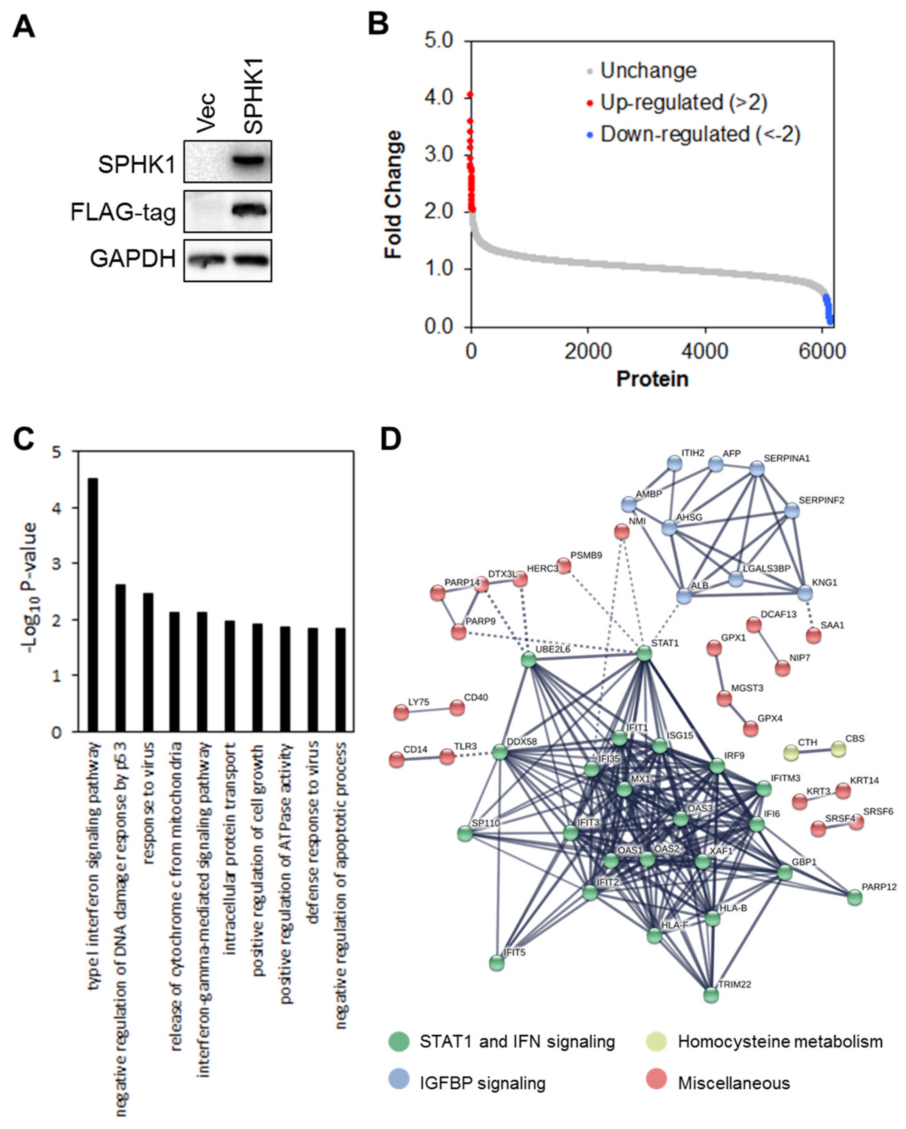 Cells 09 00886 g007 Cells 09 00886 g007