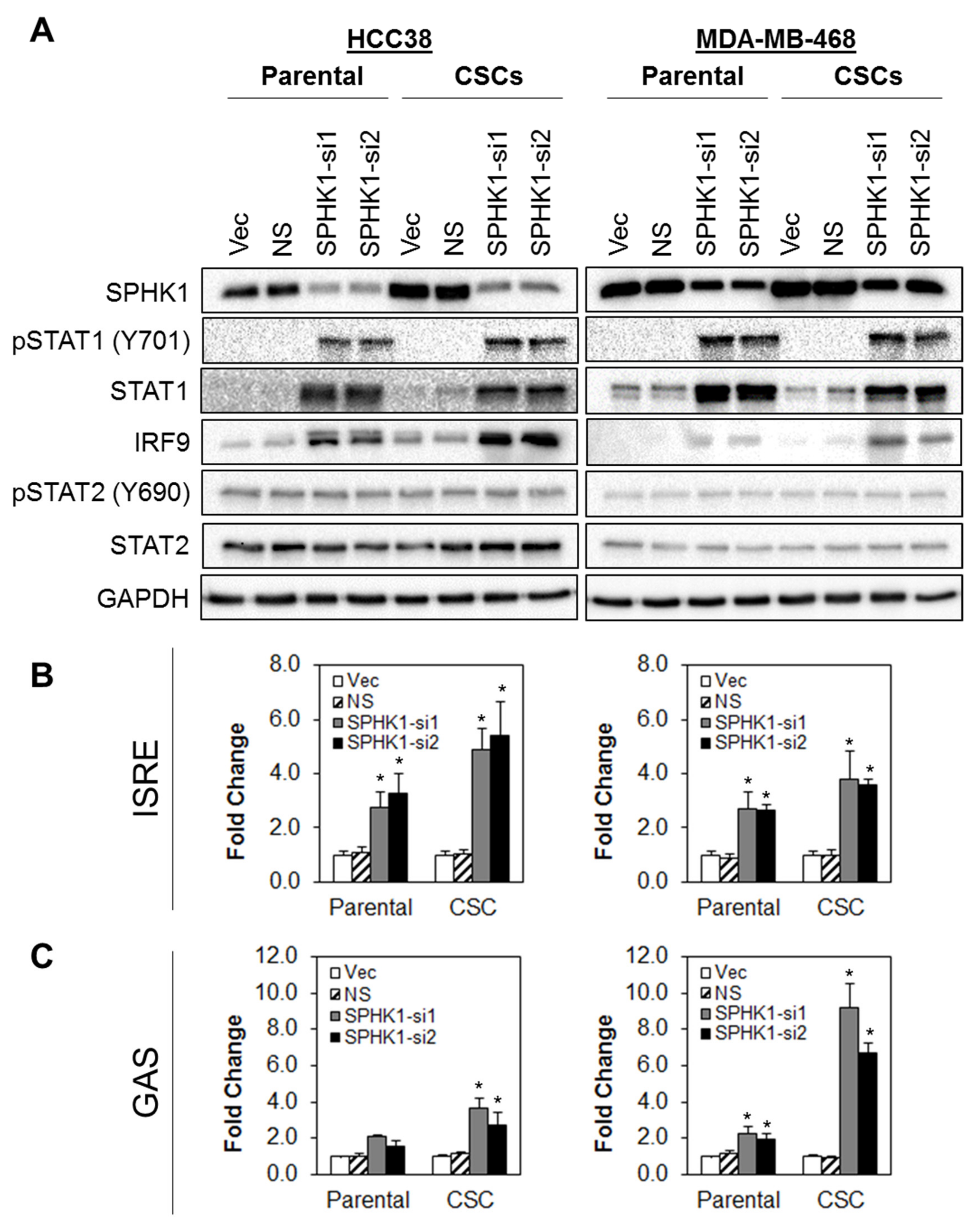 Cells 09 00886 g008 Cells 09 00886 g008