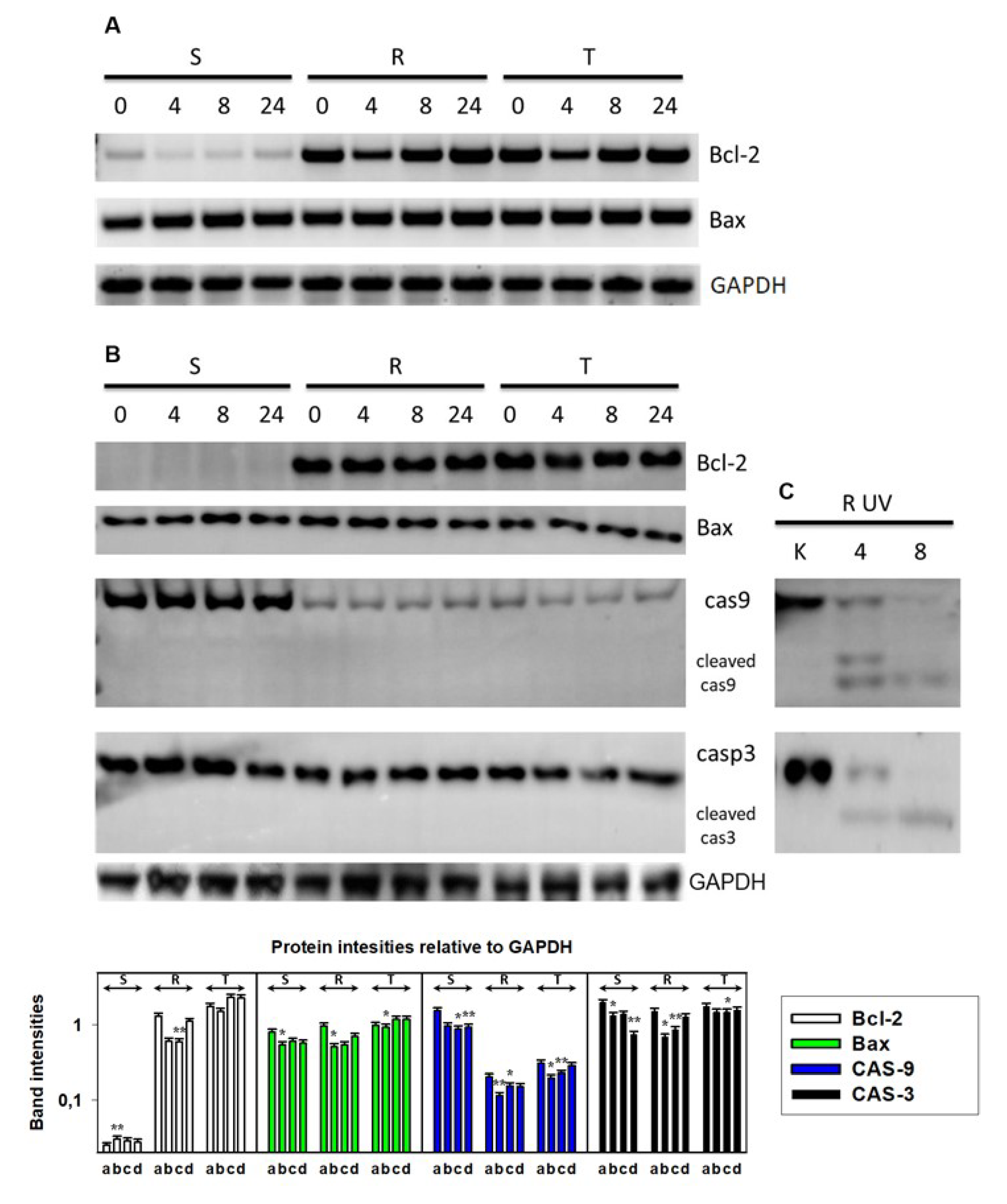Cells 09 00890 g002 Cells 09 00890 g002