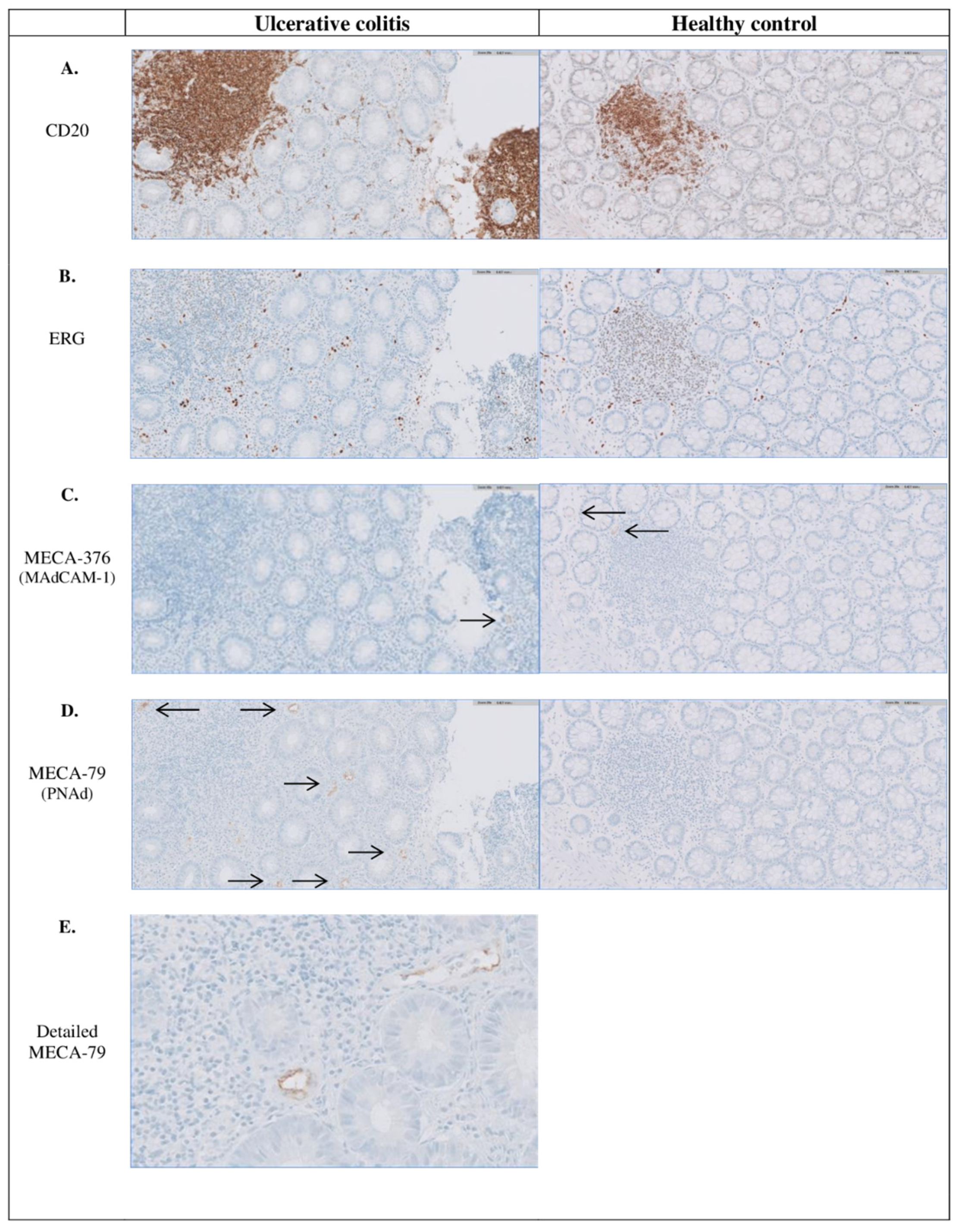 Cells 09 00891 g001 Cells 09 00891 g001