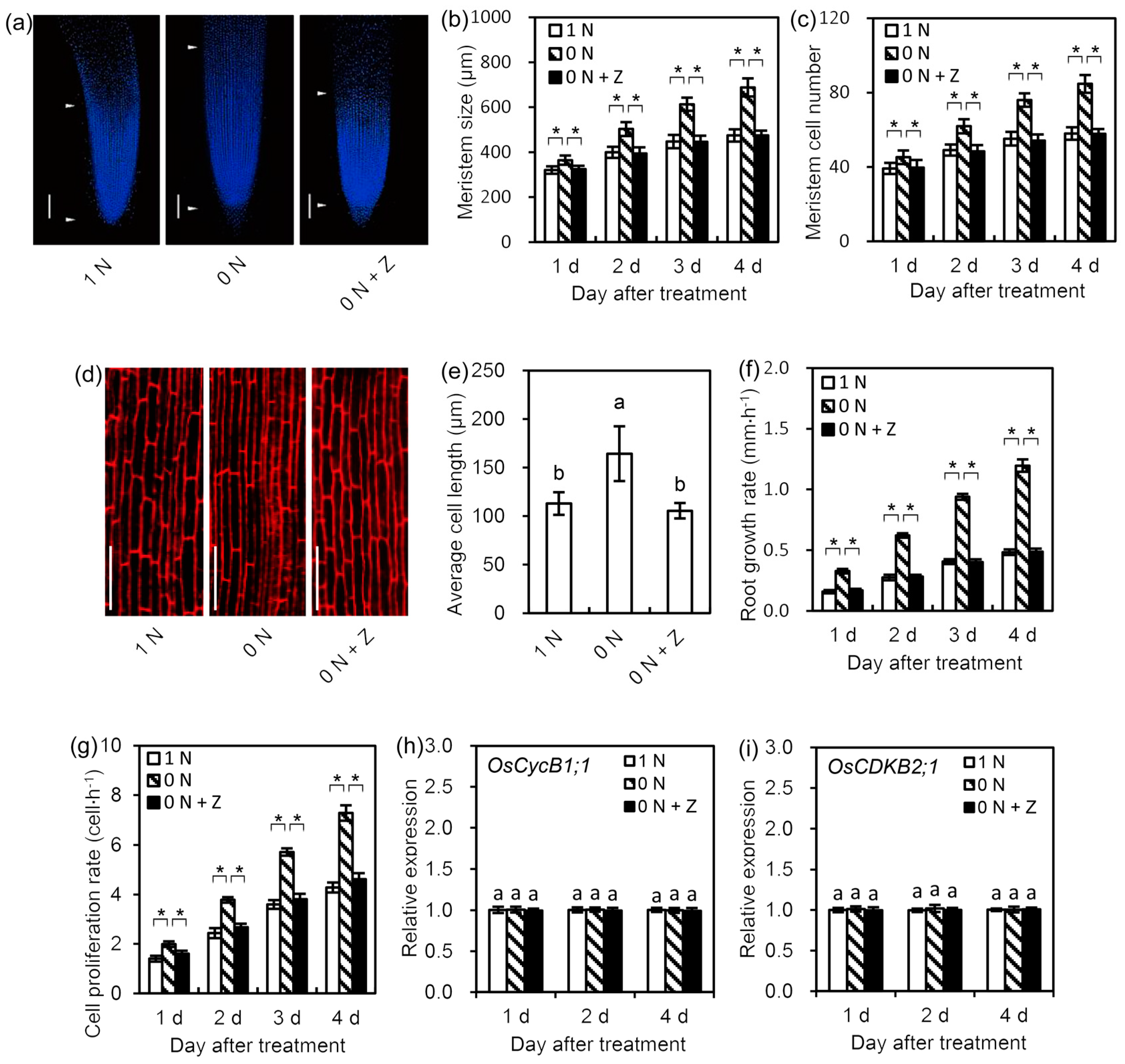 Cells 09 00916 g003 Cells 09 00916 g003