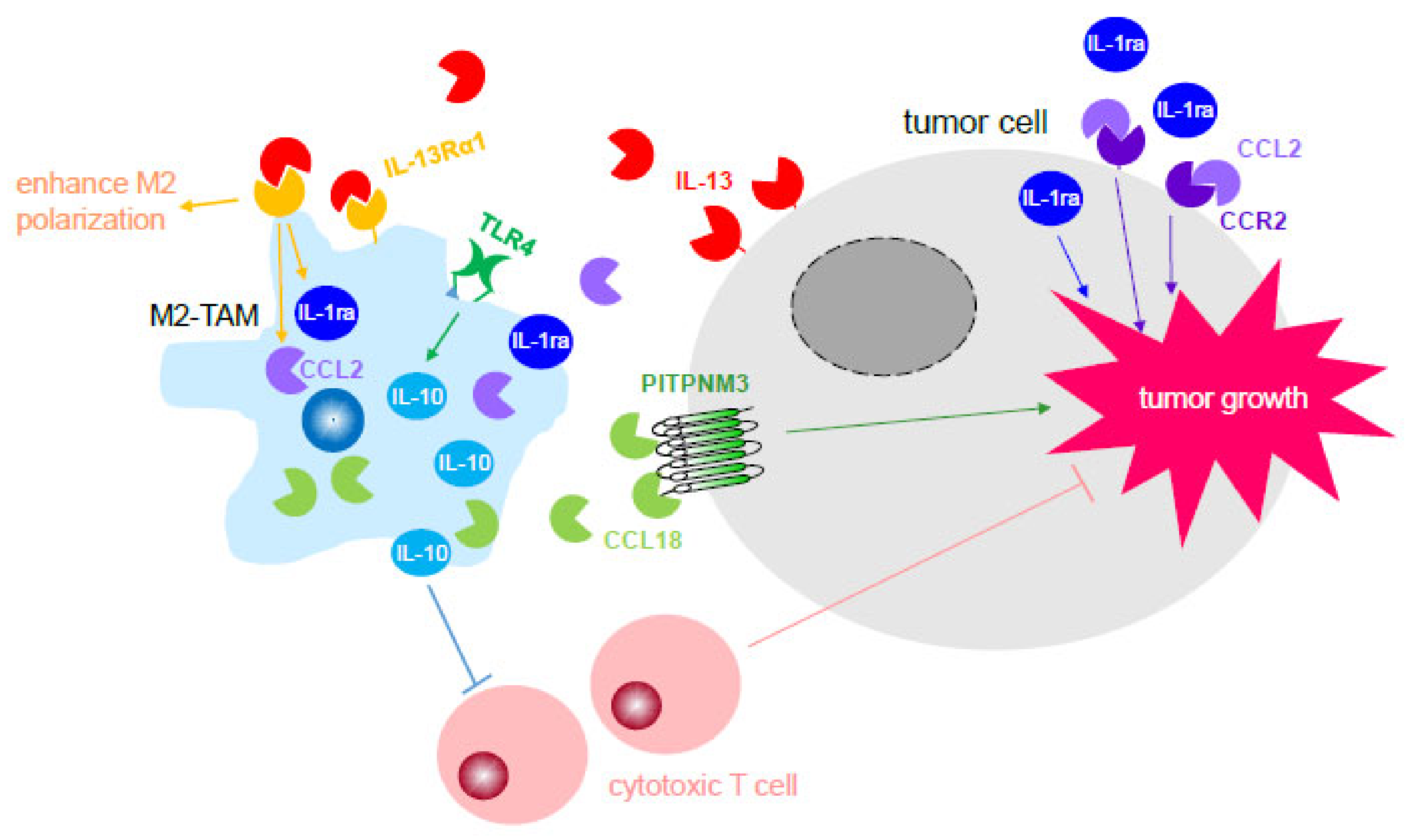 Цитокины фото. Цитокины красивые картинки. Kinetic model of tumor growth. Free Cell.