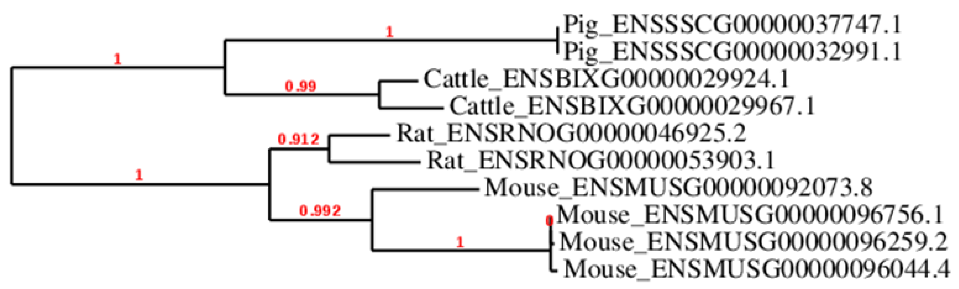 Cells 09 01002 g002 Cells 09 01002 g002