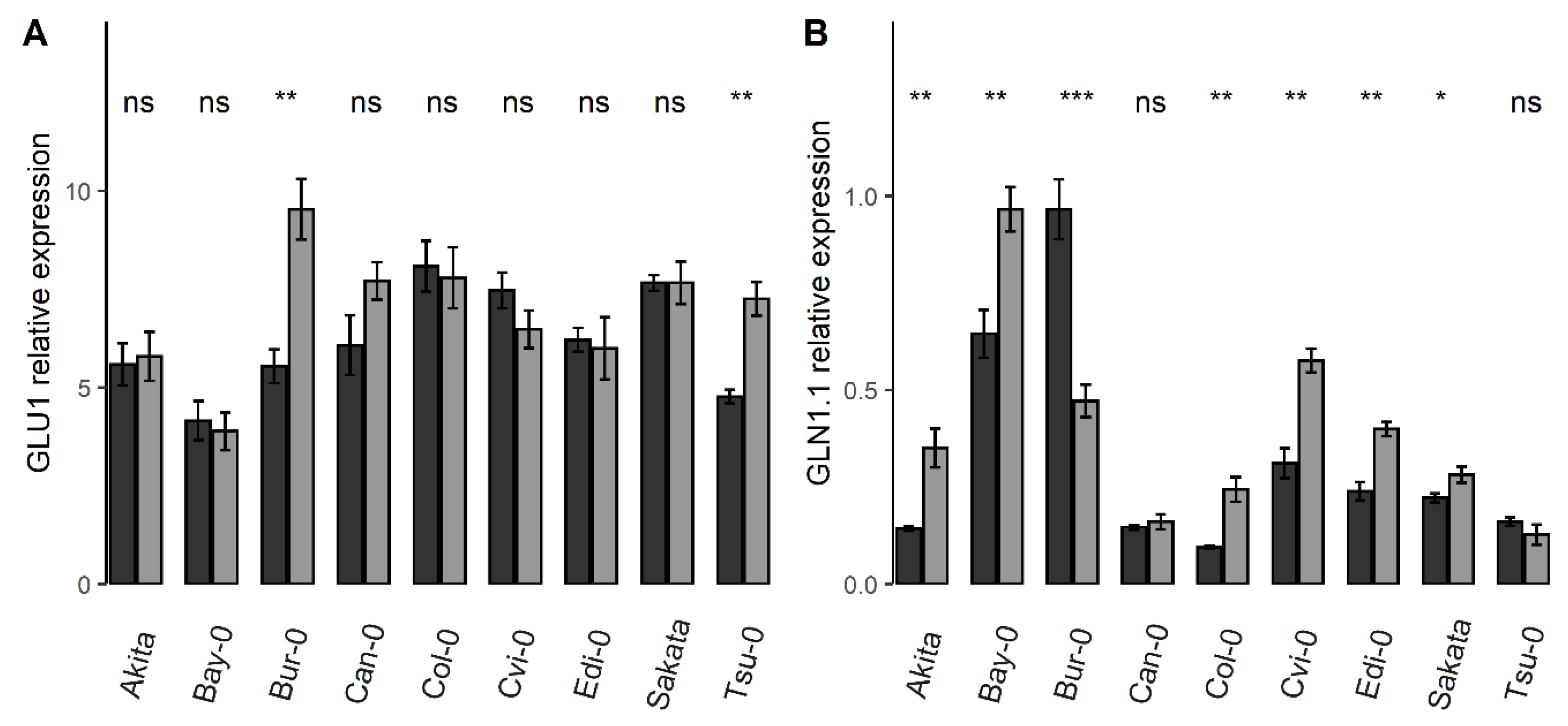 Cells 09 01021 g002 Cells 09 01021 g002