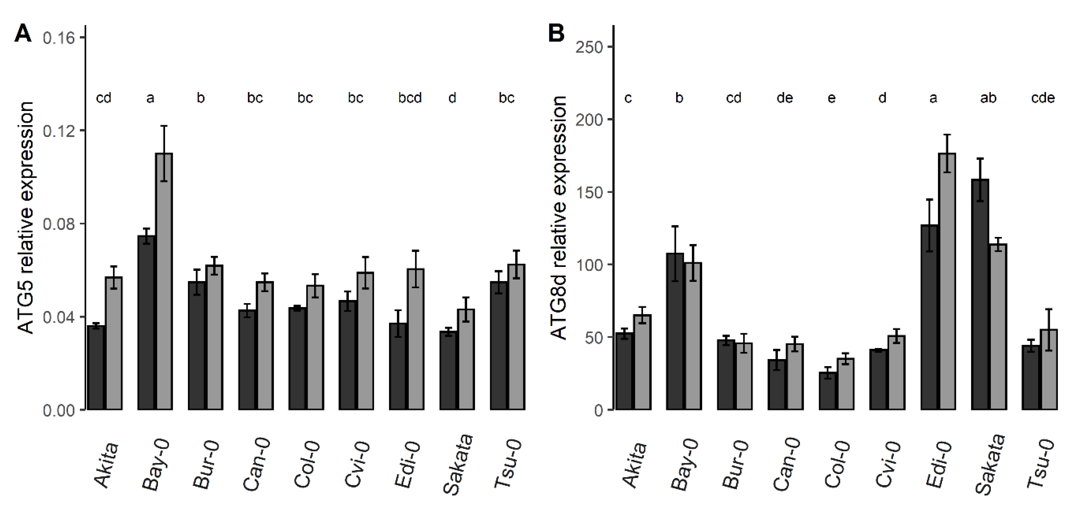 Cells 09 01021 g004 Cells 09 01021 g004