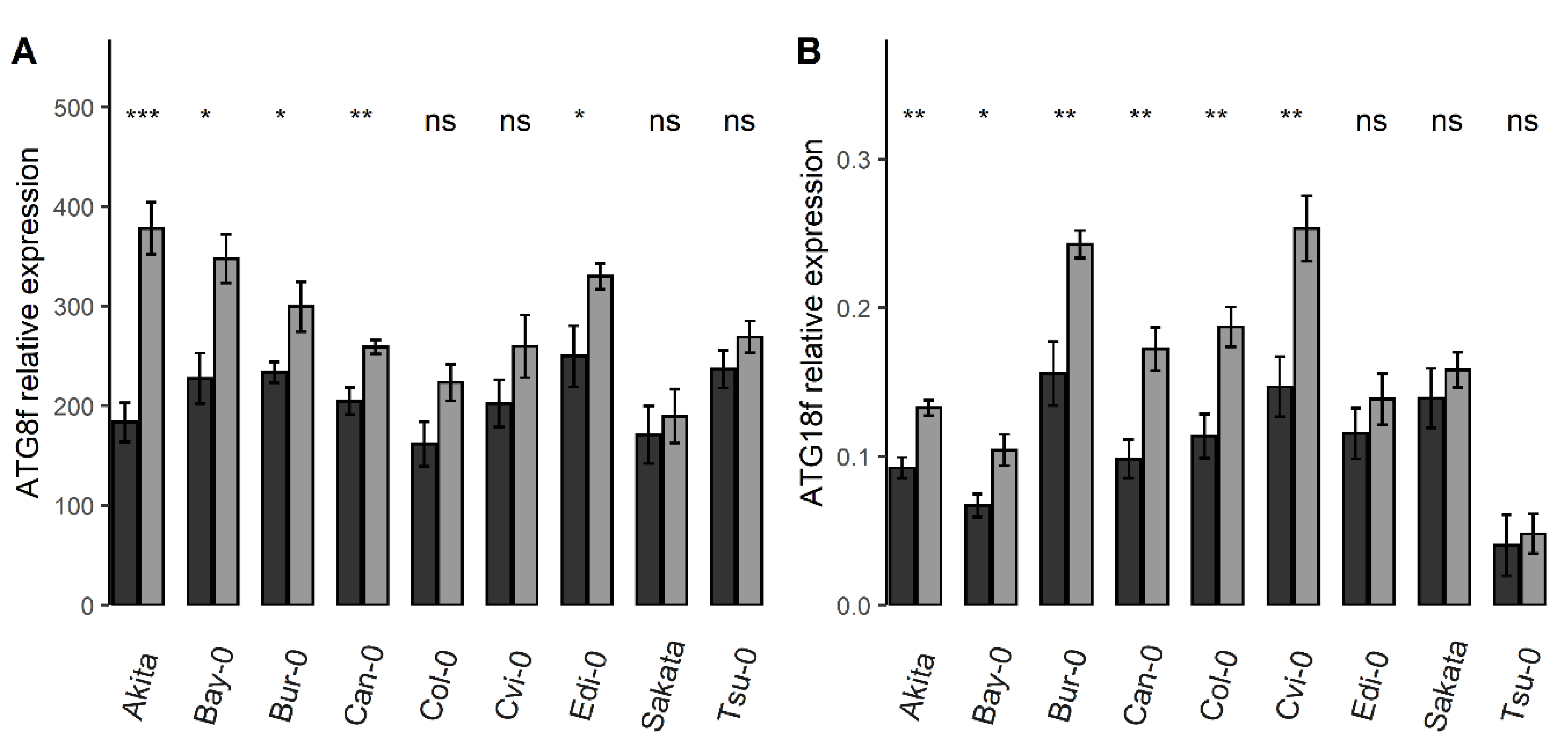 Cells 09 01021 g005 Cells 09 01021 g005