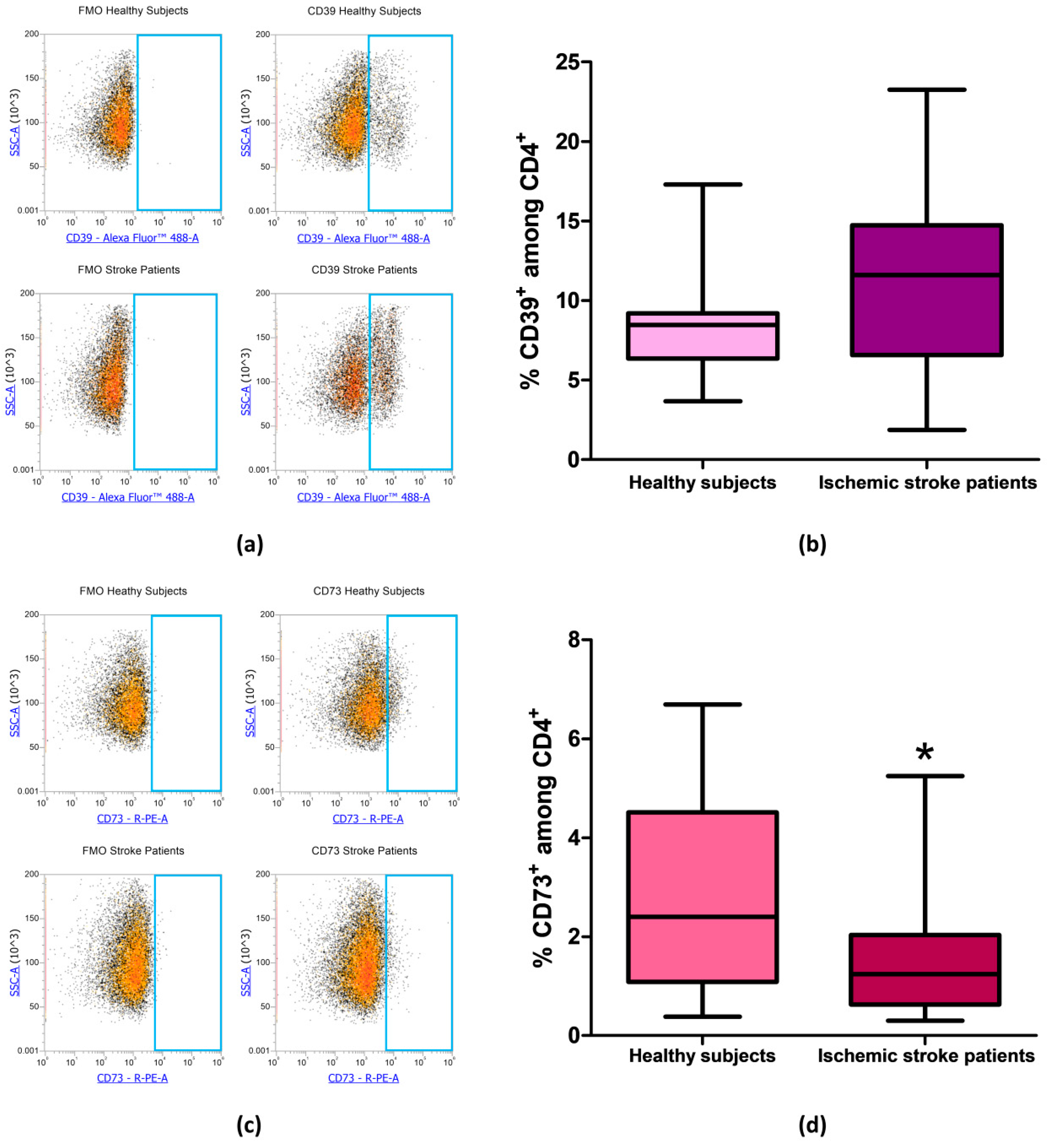 Cells 09 01072 g004 Cells 09 01072 g004