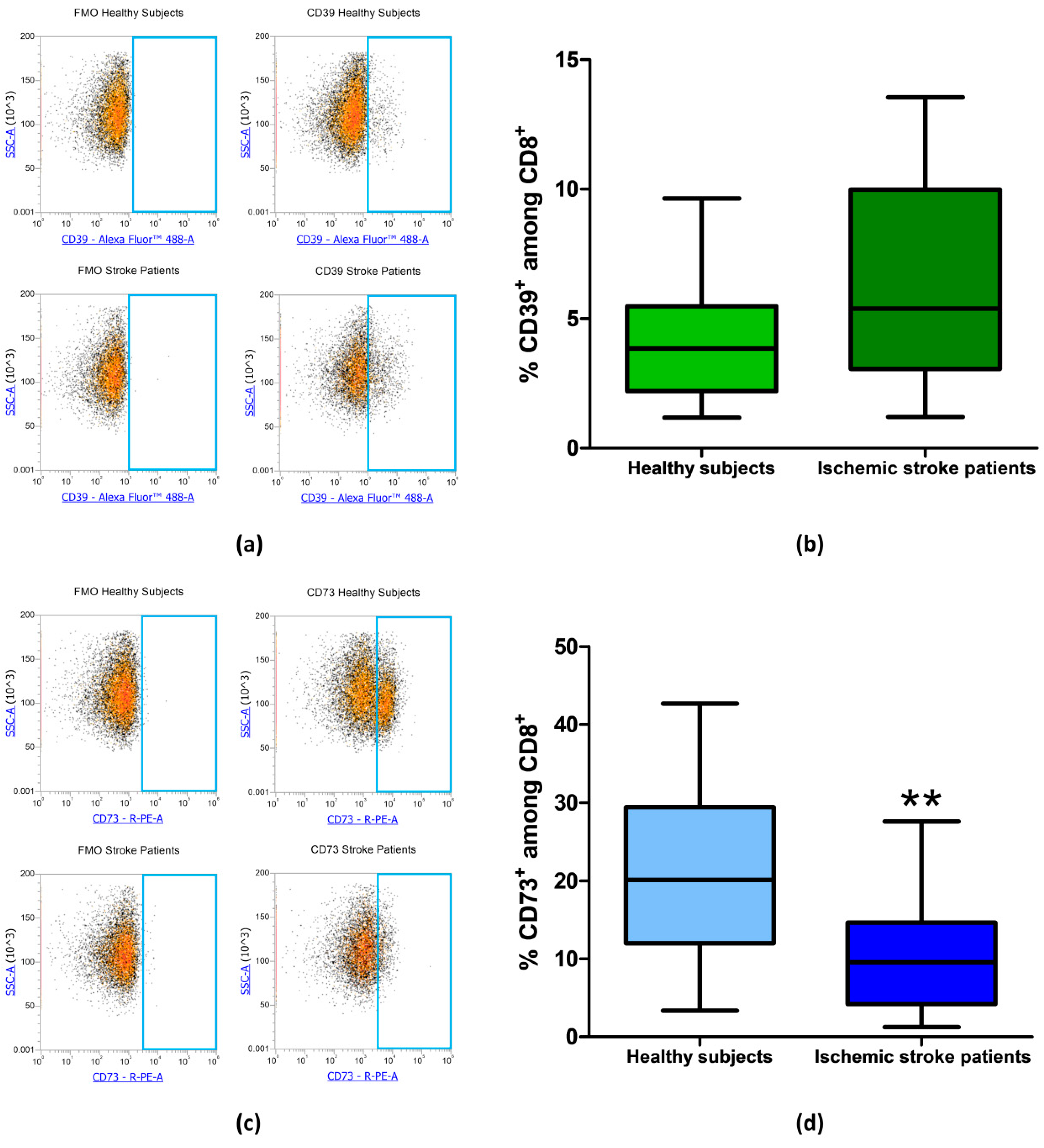 Cells 09 01072 g005 Cells 09 01072 g005