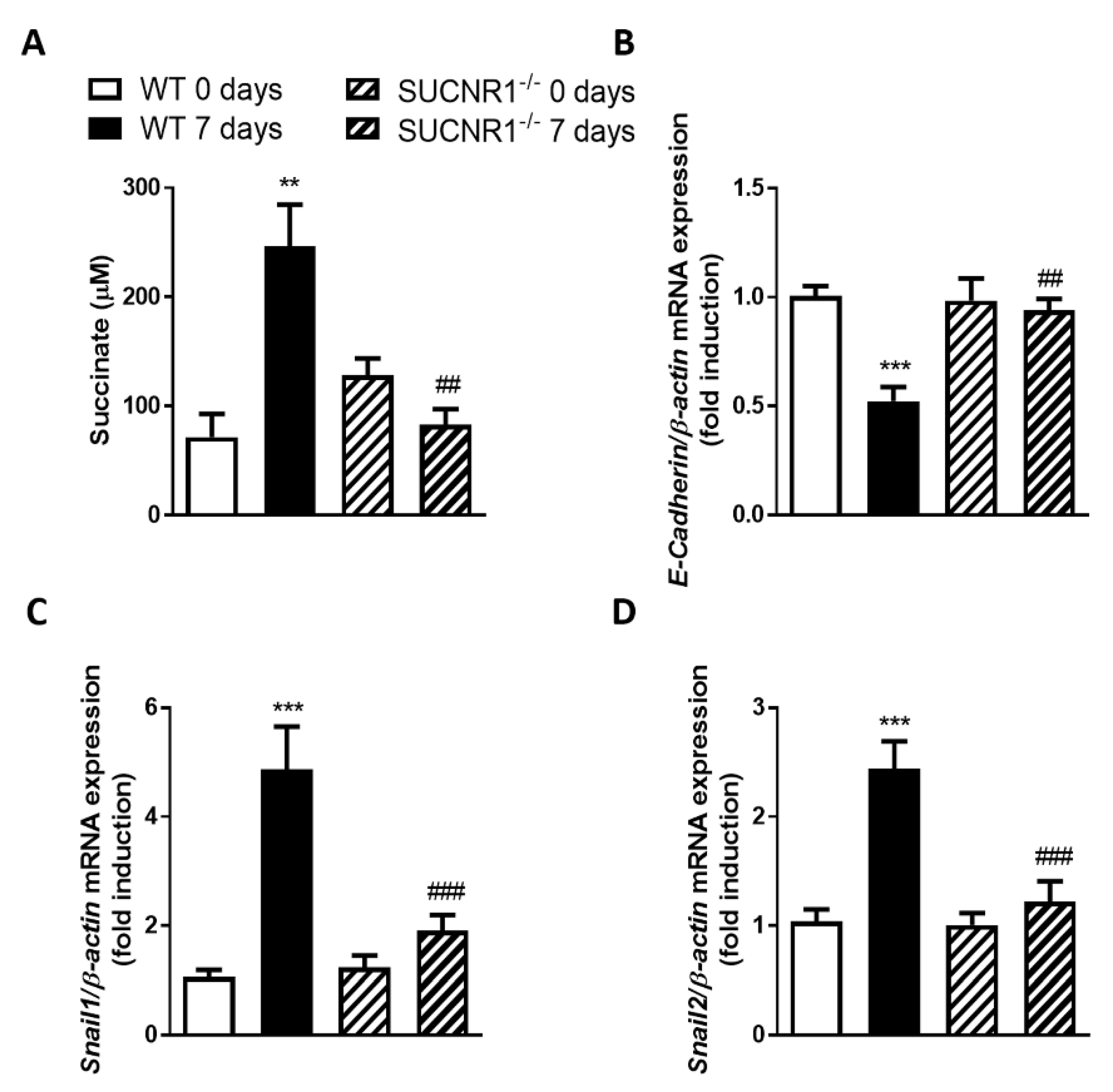 Cells 09 01104 g001 Cells 09 01104 g001