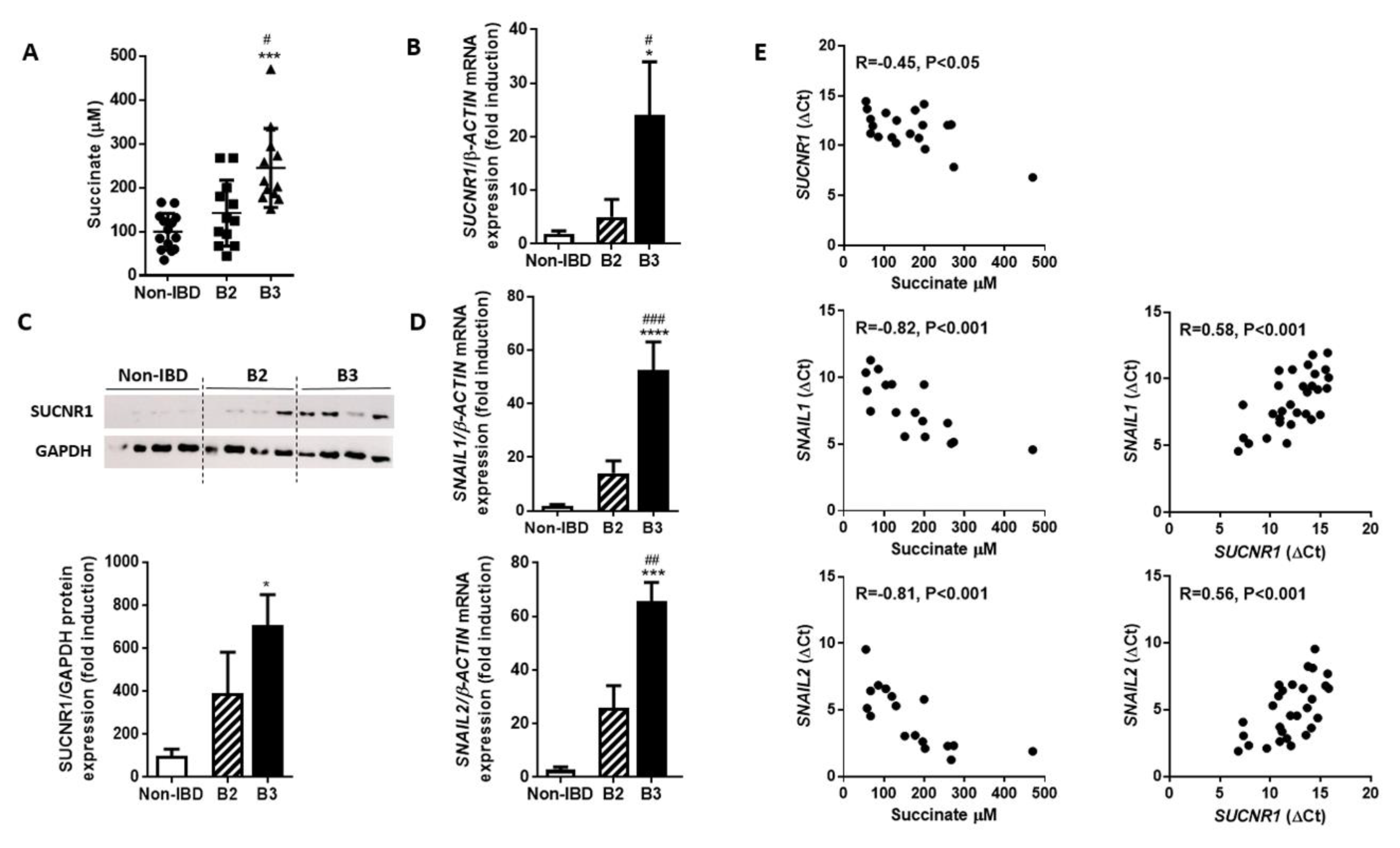 Cells 09 01104 g002 Cells 09 01104 g002