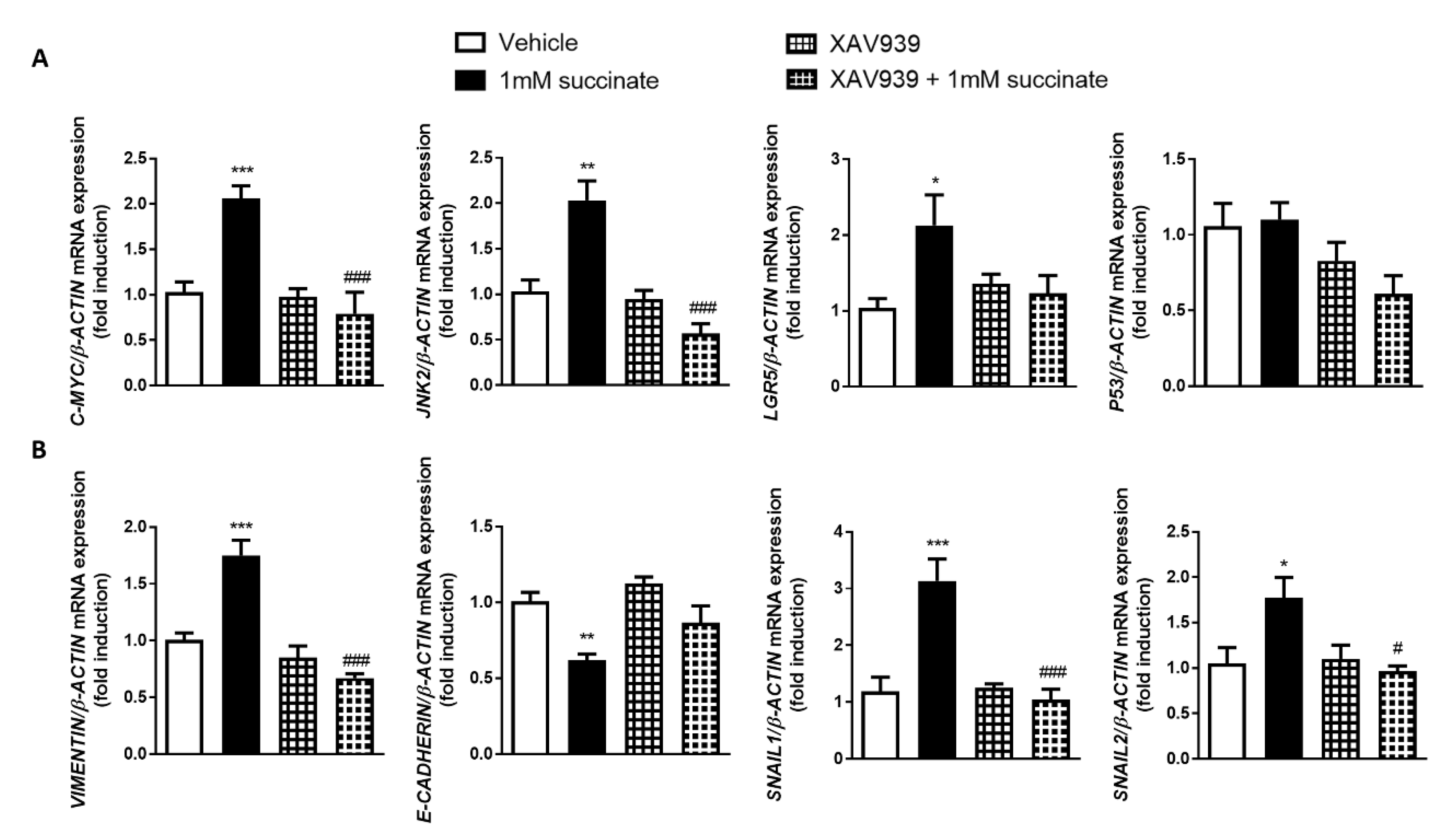Cells 09 01104 g006 Cells 09 01104 g006