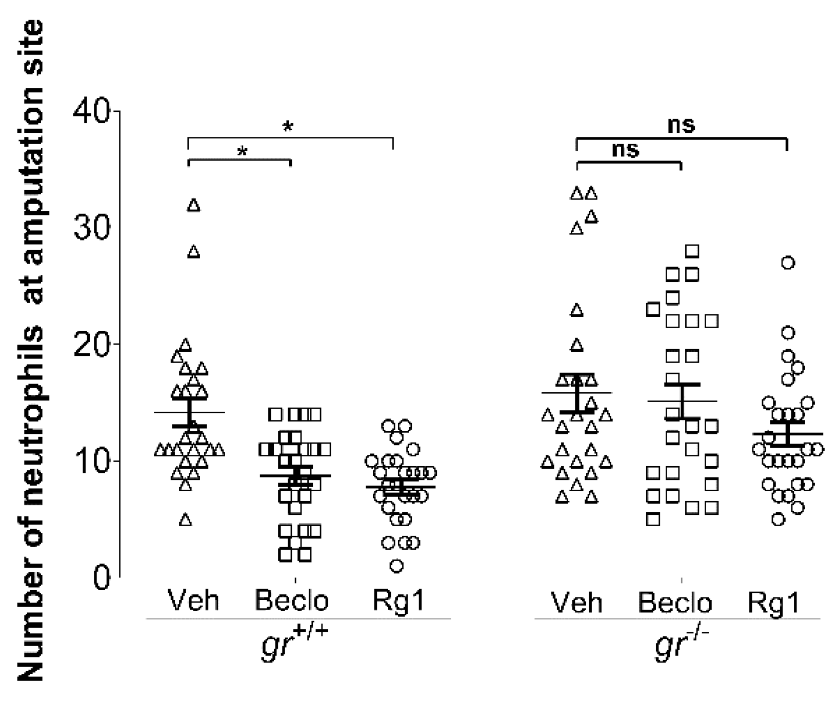 Cells 09 01107 g002 Cells 09 01107 g002