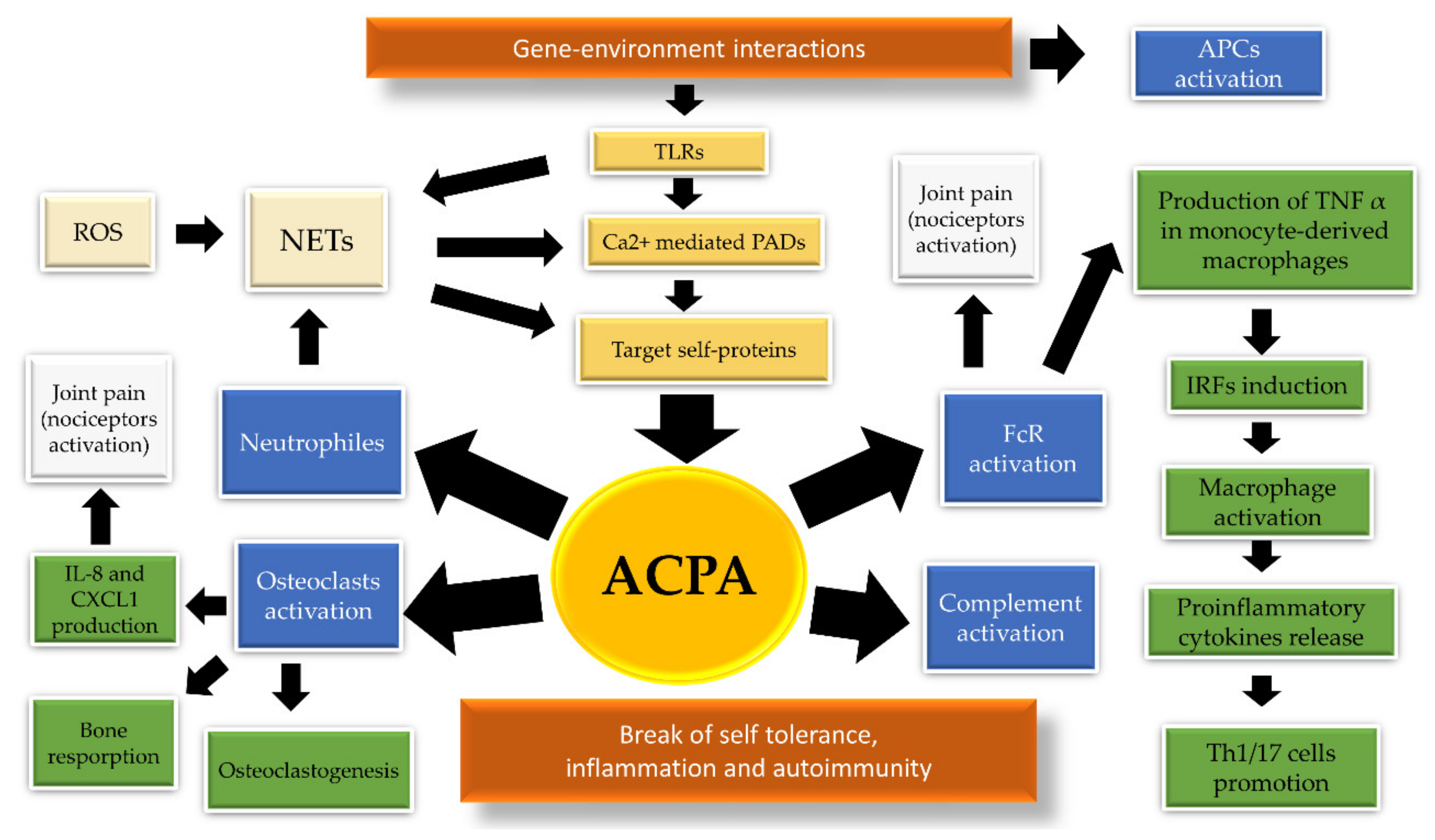 Cells 09 01127 g002 Cells 09 01127 g002