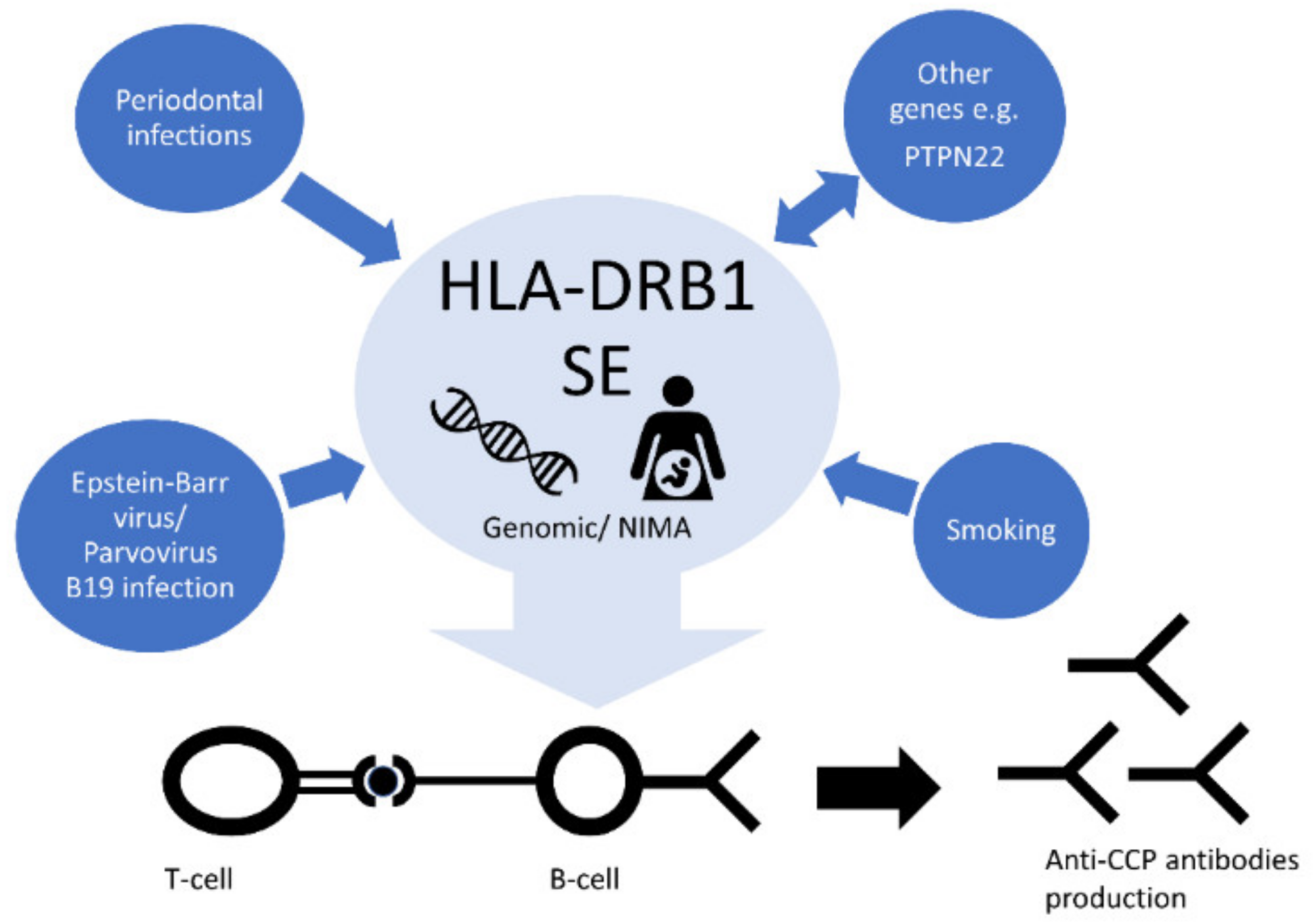 Cells 09 01127 g005 Cells 09 01127 g005