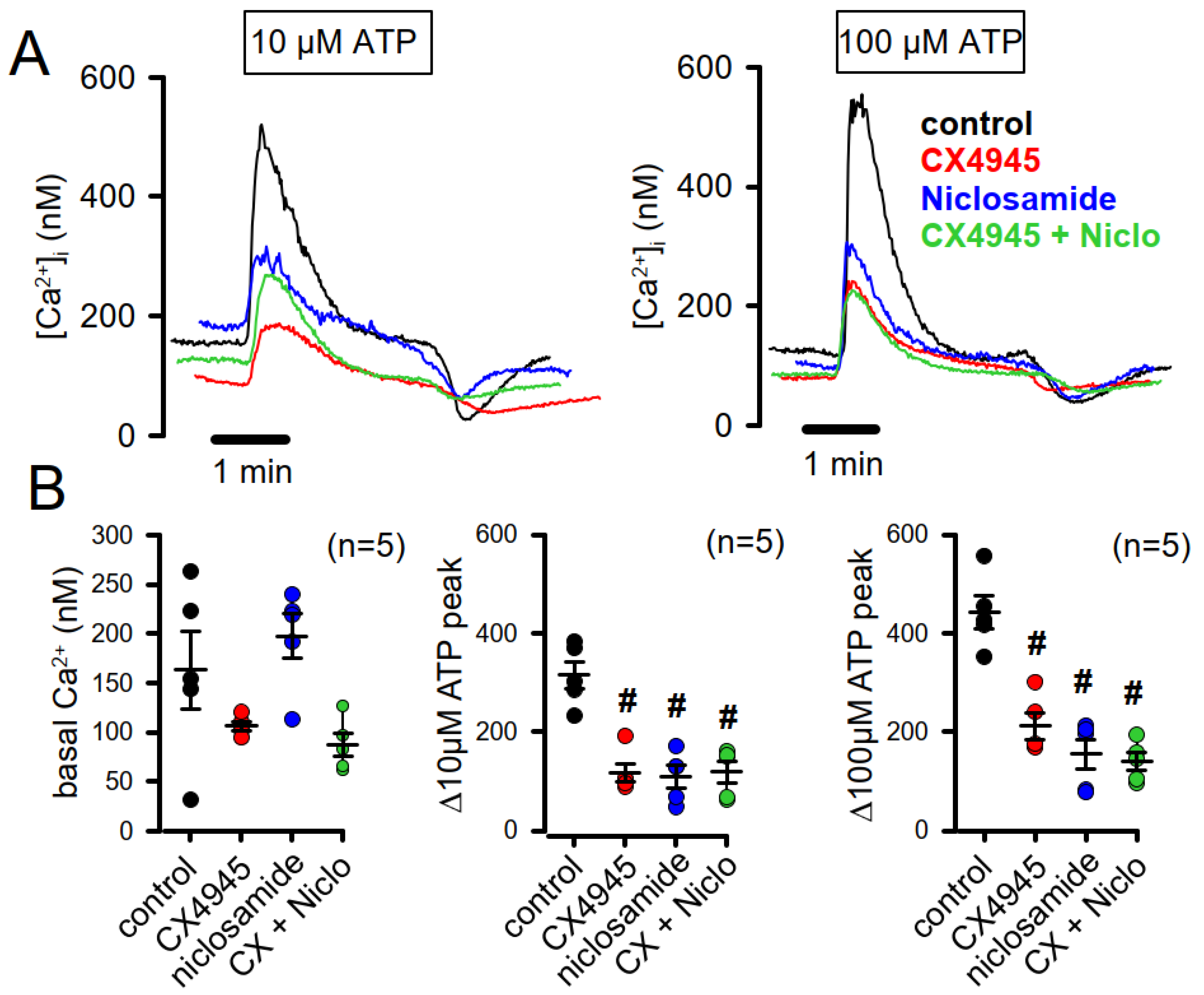 Cells 09 01138 g006 Cells 09 01138 g006