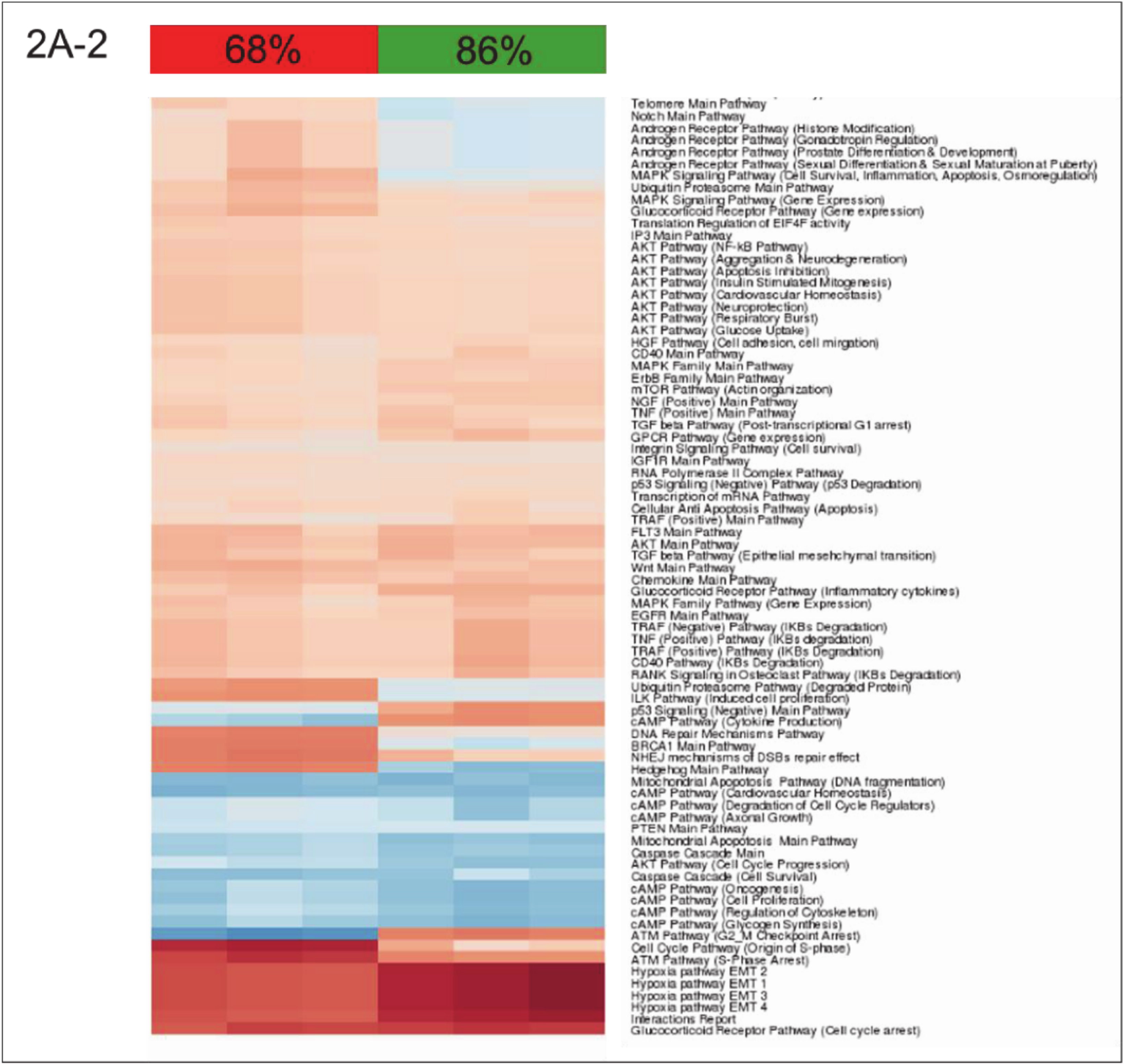Cells 09 01149 g002b