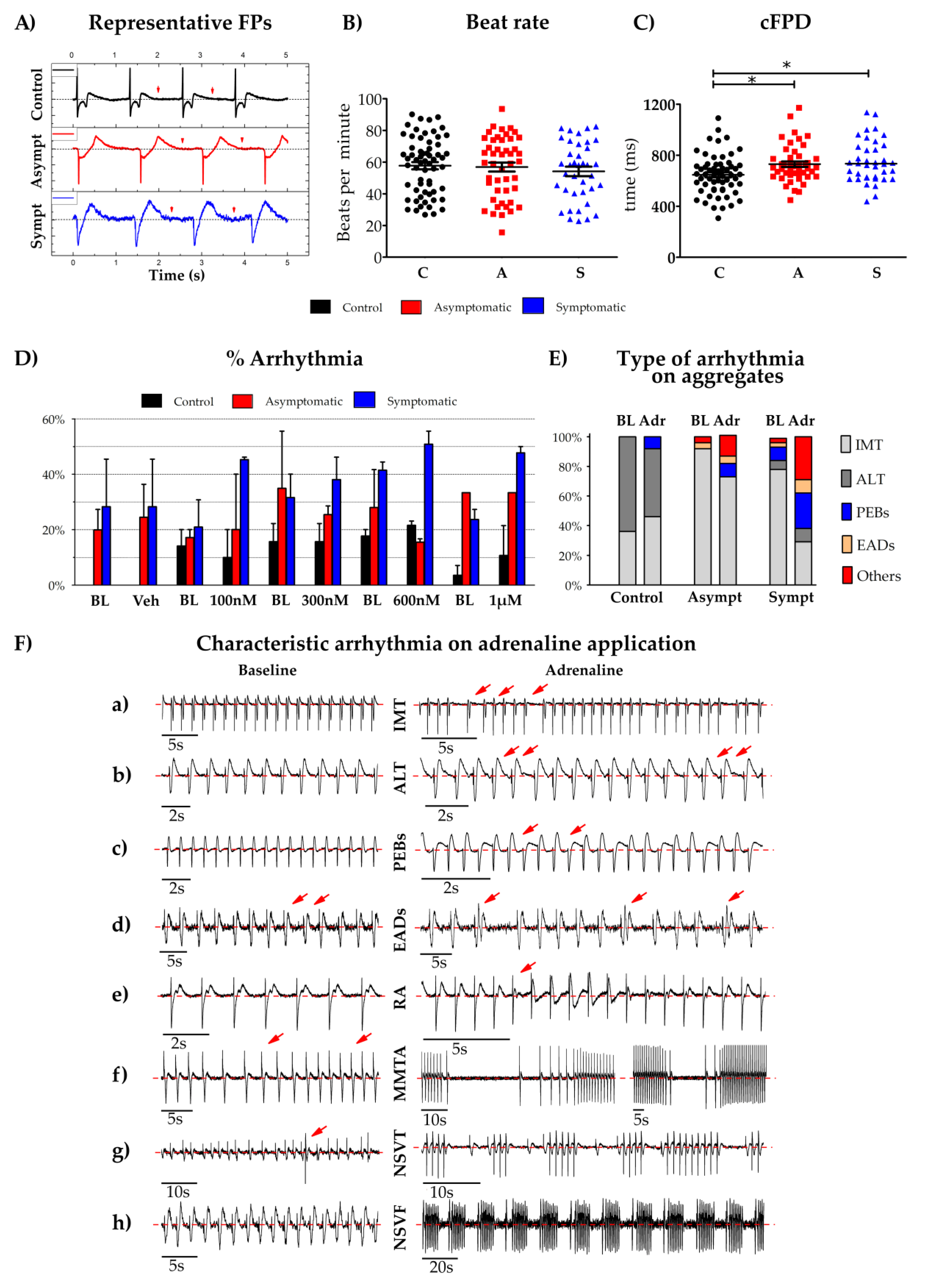 Cells 09 01153 g004 Cells 09 01153 g004
