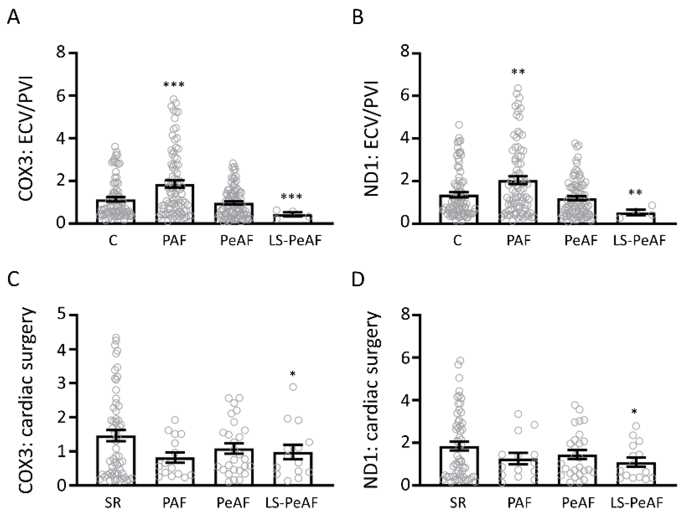 Cells 09 01159 g002 Cells 09 01159 g002