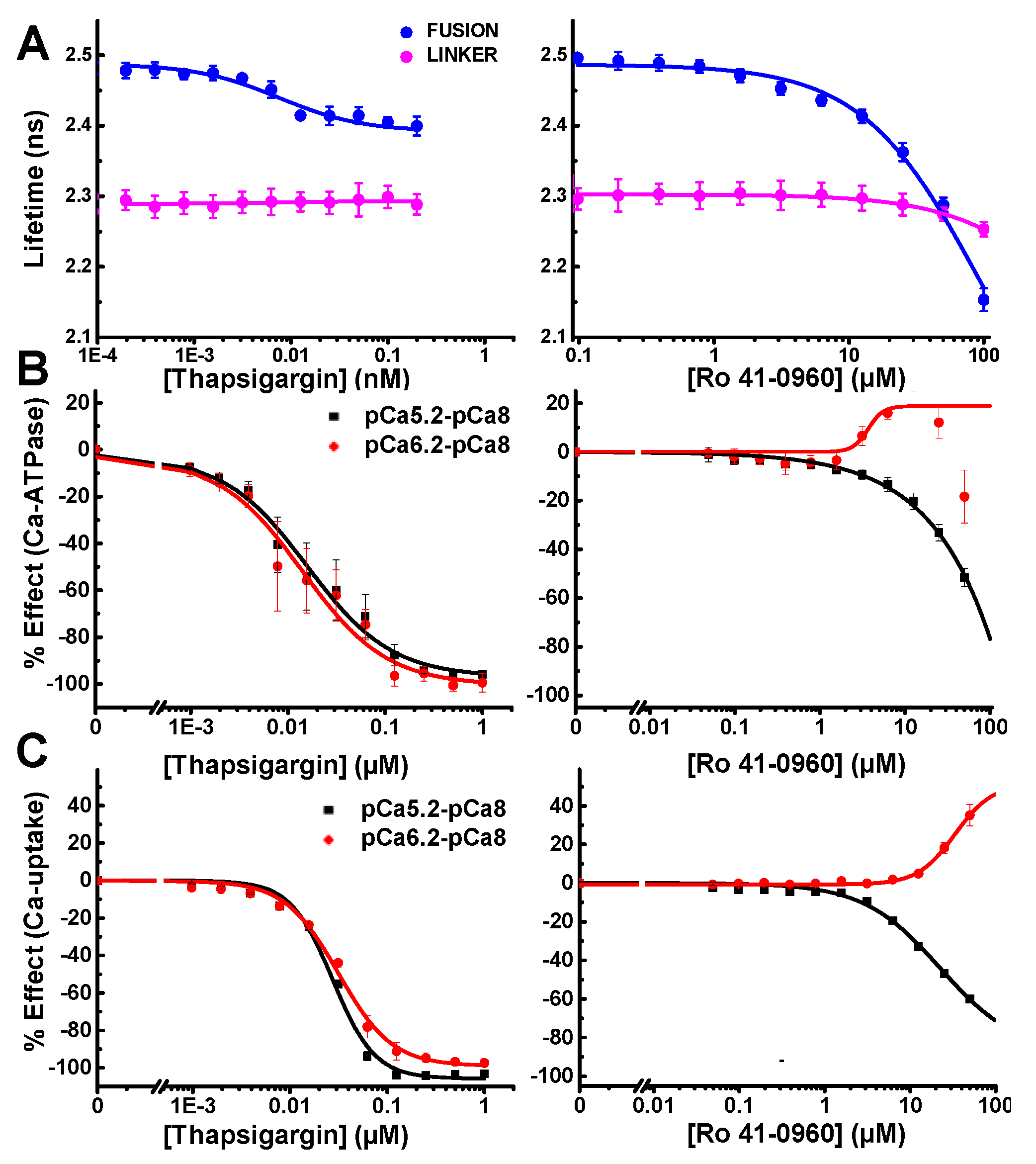 Cells 09 01170 g005 Cells 09 01170 g005