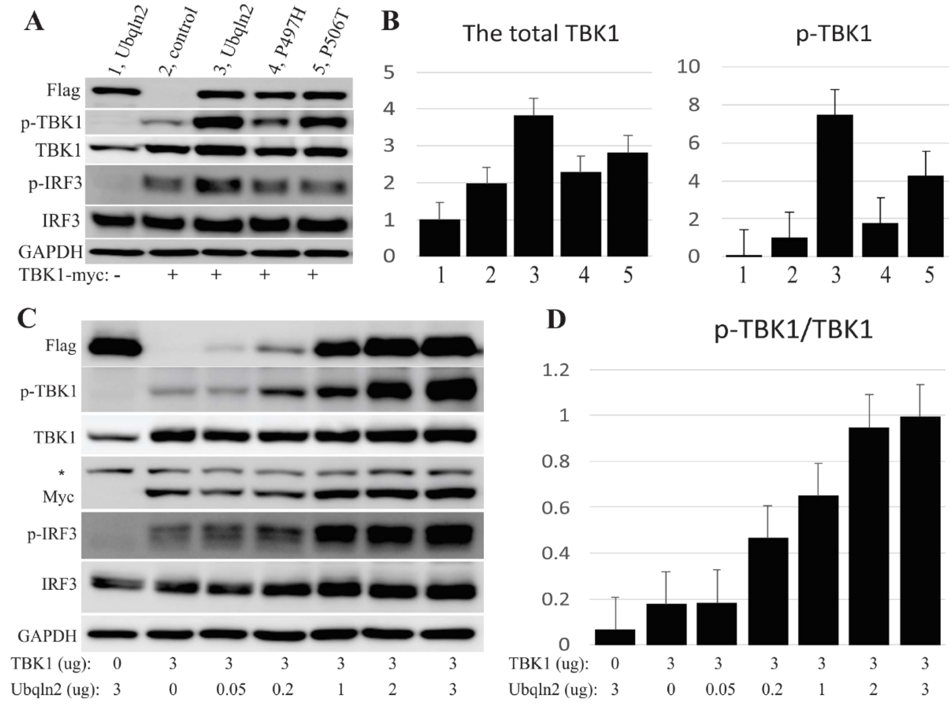 Cells 09 01205 g003 Cells 09 01205 g003
