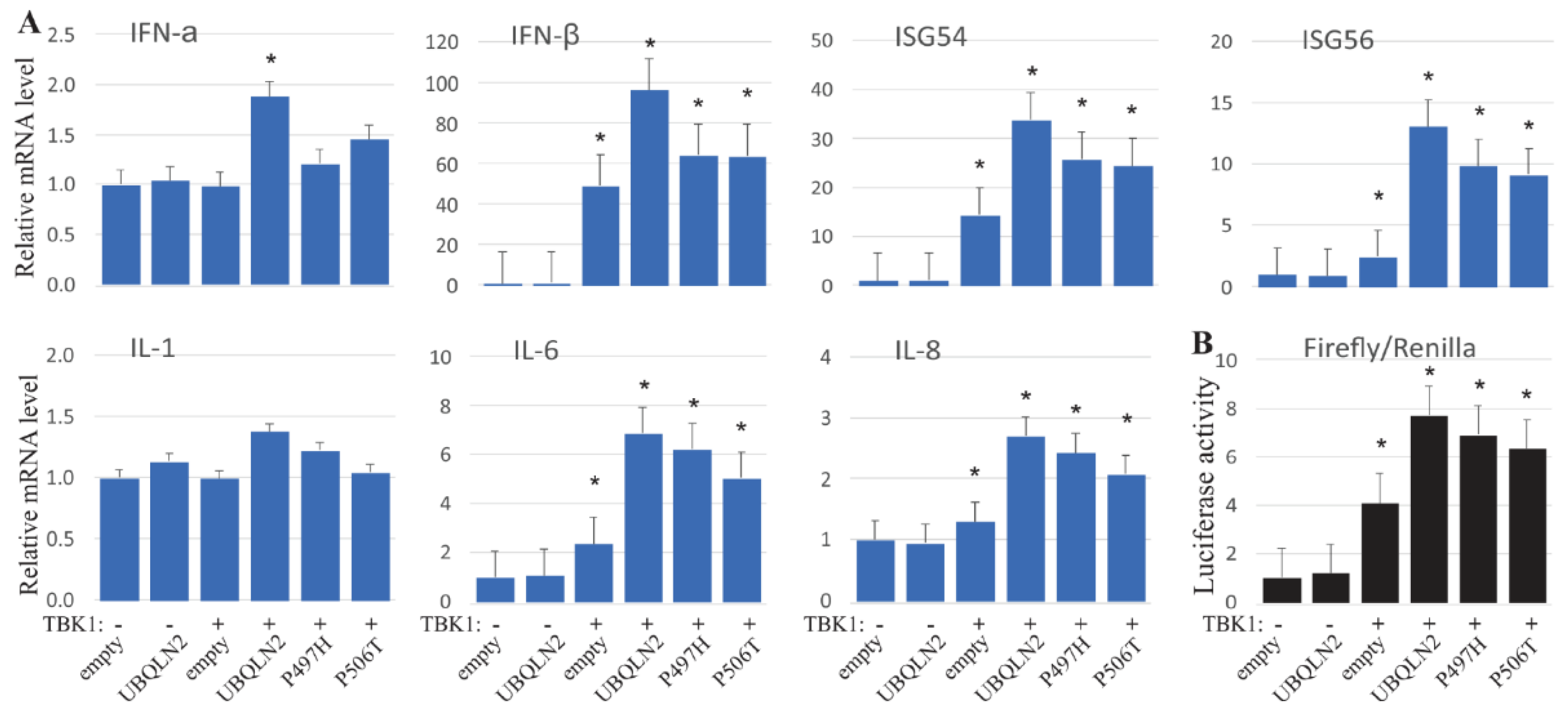 Cells 09 01205 g004 Cells 09 01205 g004