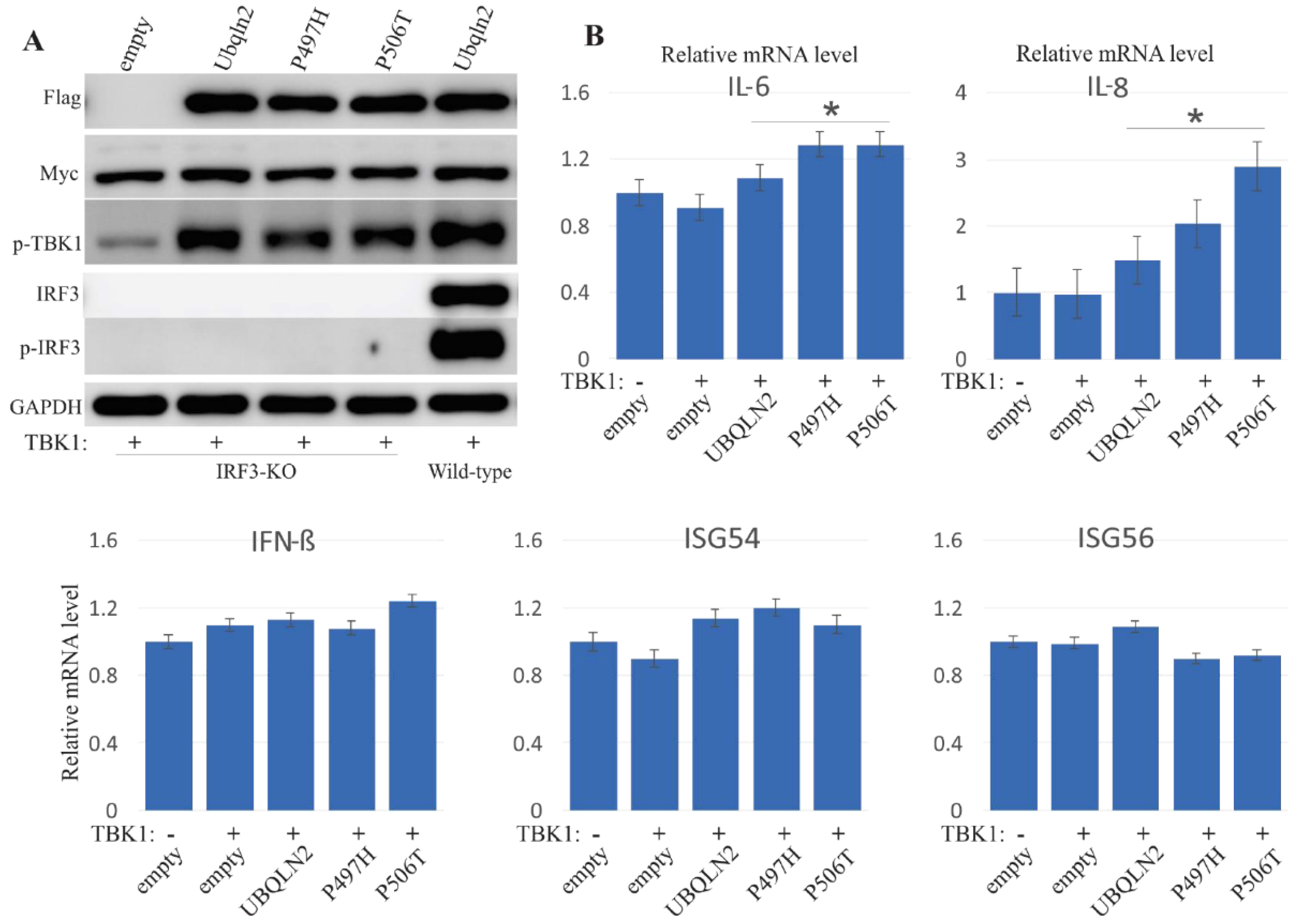 Cells 09 01205 g006 Cells 09 01205 g006