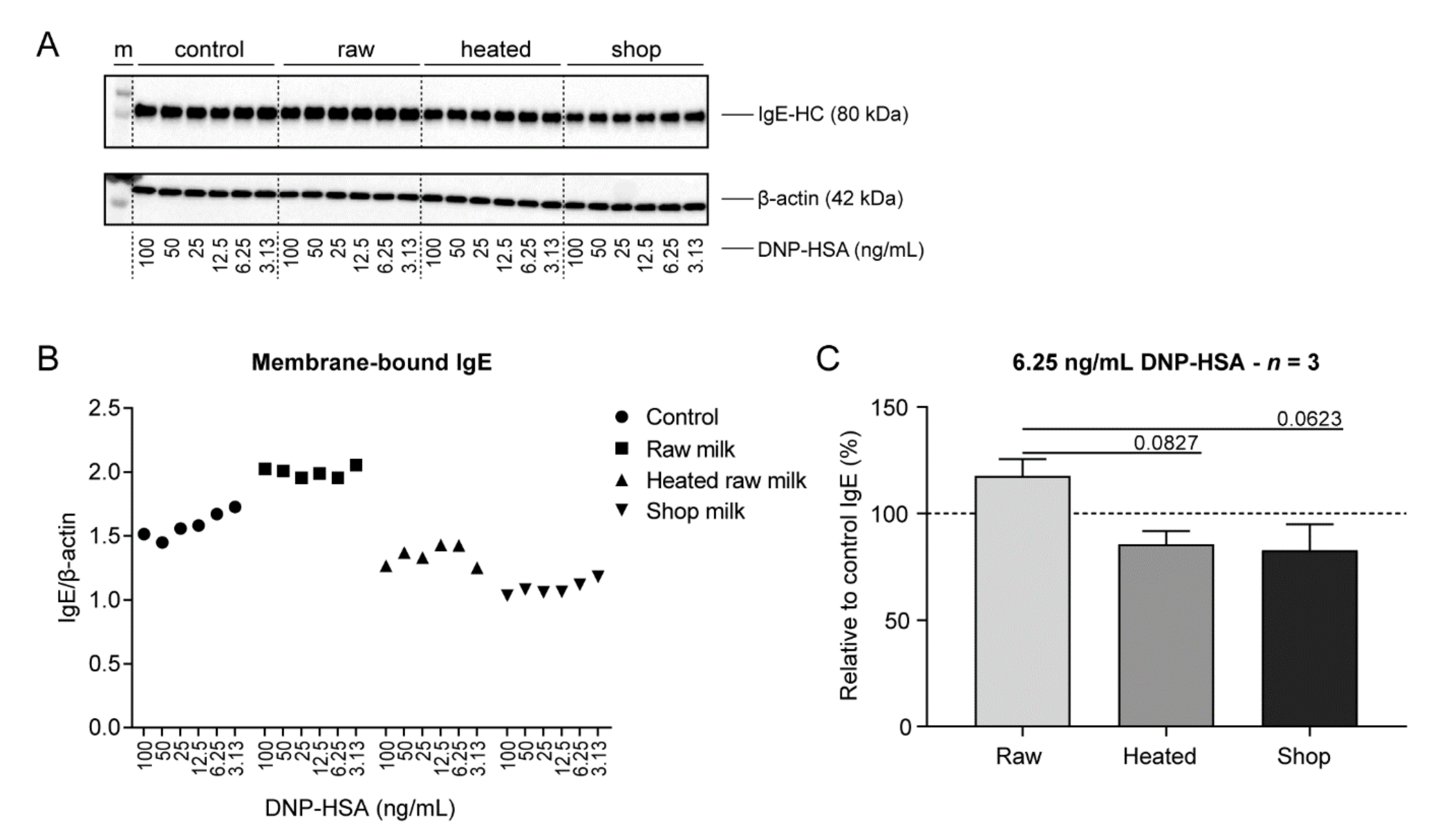 EGCG Protocol.