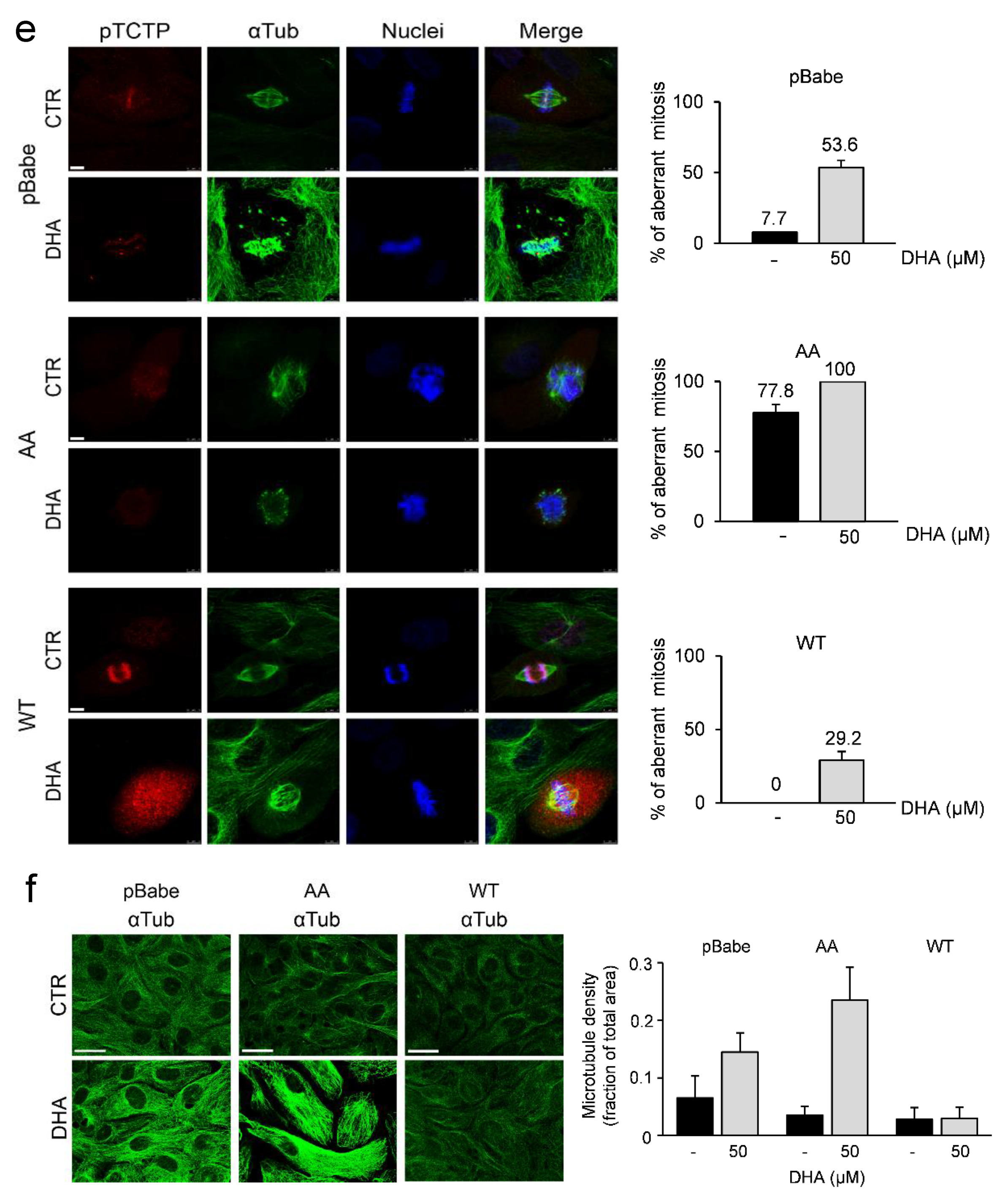 Cells 09 01260 g003b