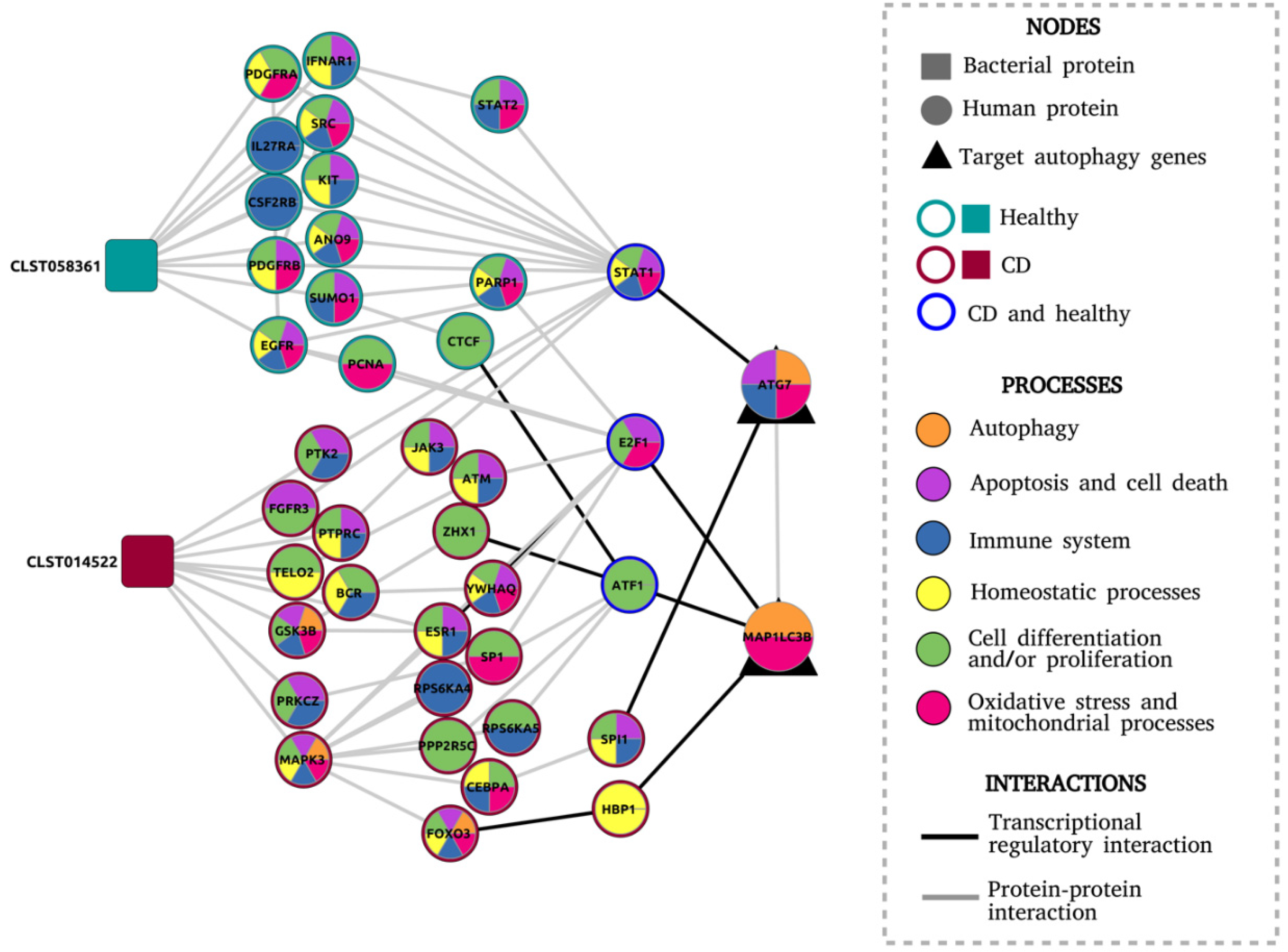 Cells 09 01278 g003 Cells 09 01278 g003