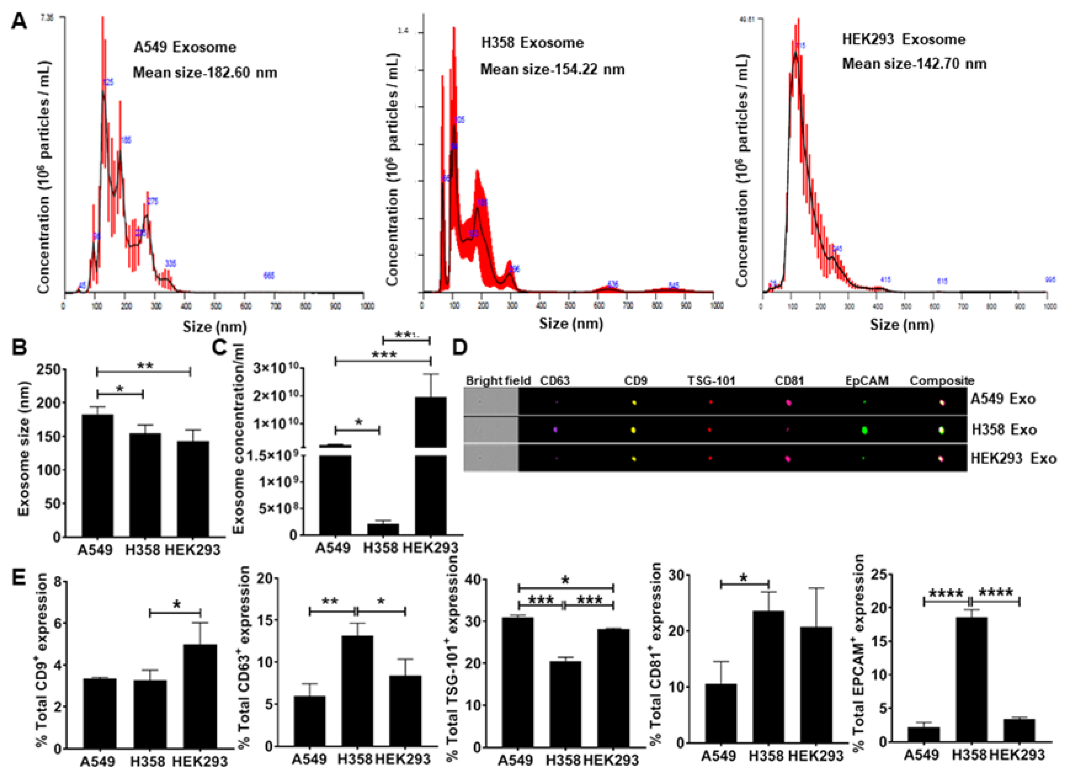 Cells | Free Full-Text | Lung Tumor Cell-Derived Exosomes Promote