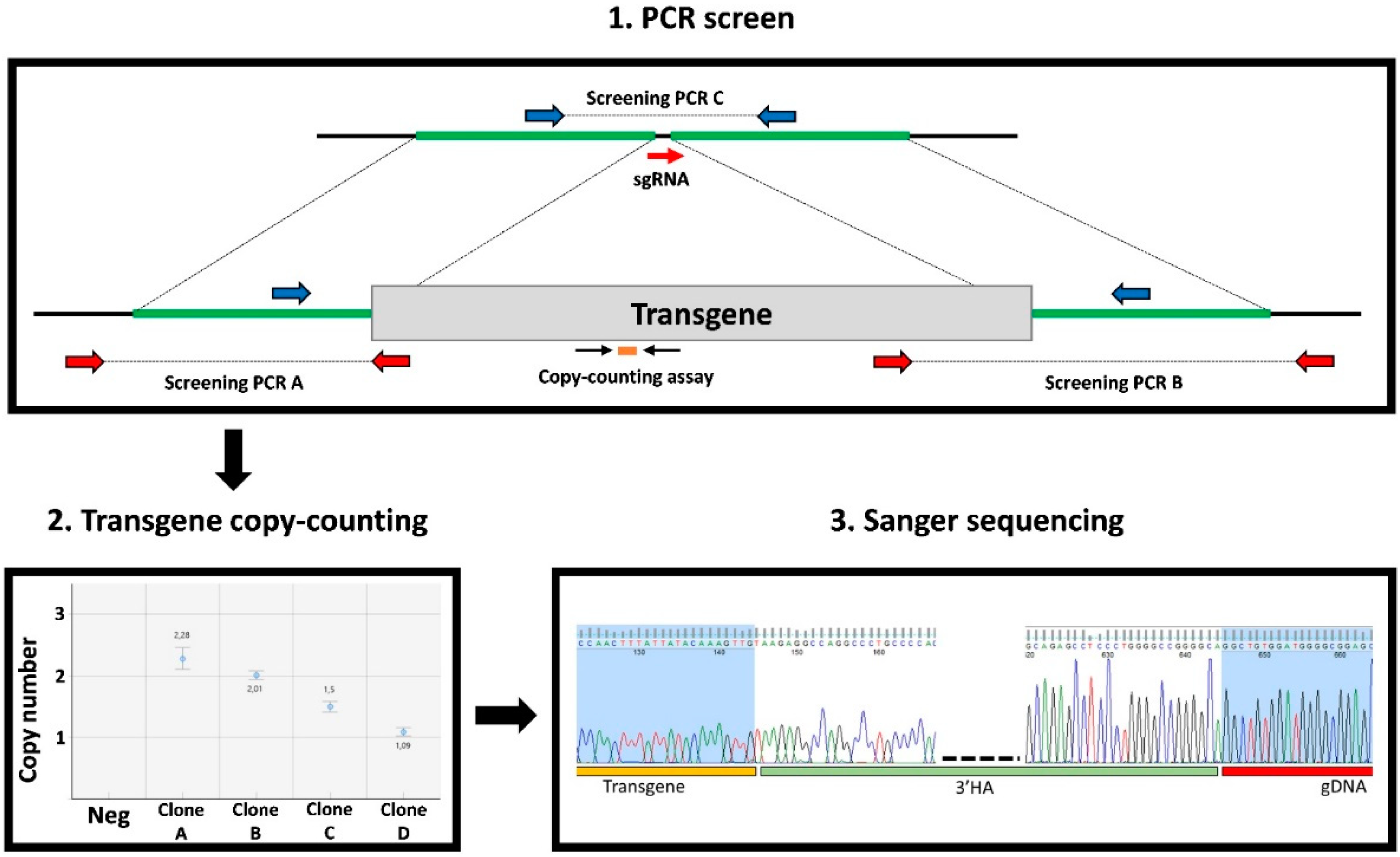Cells 09 01312 g003 Cells 09 01312 g003