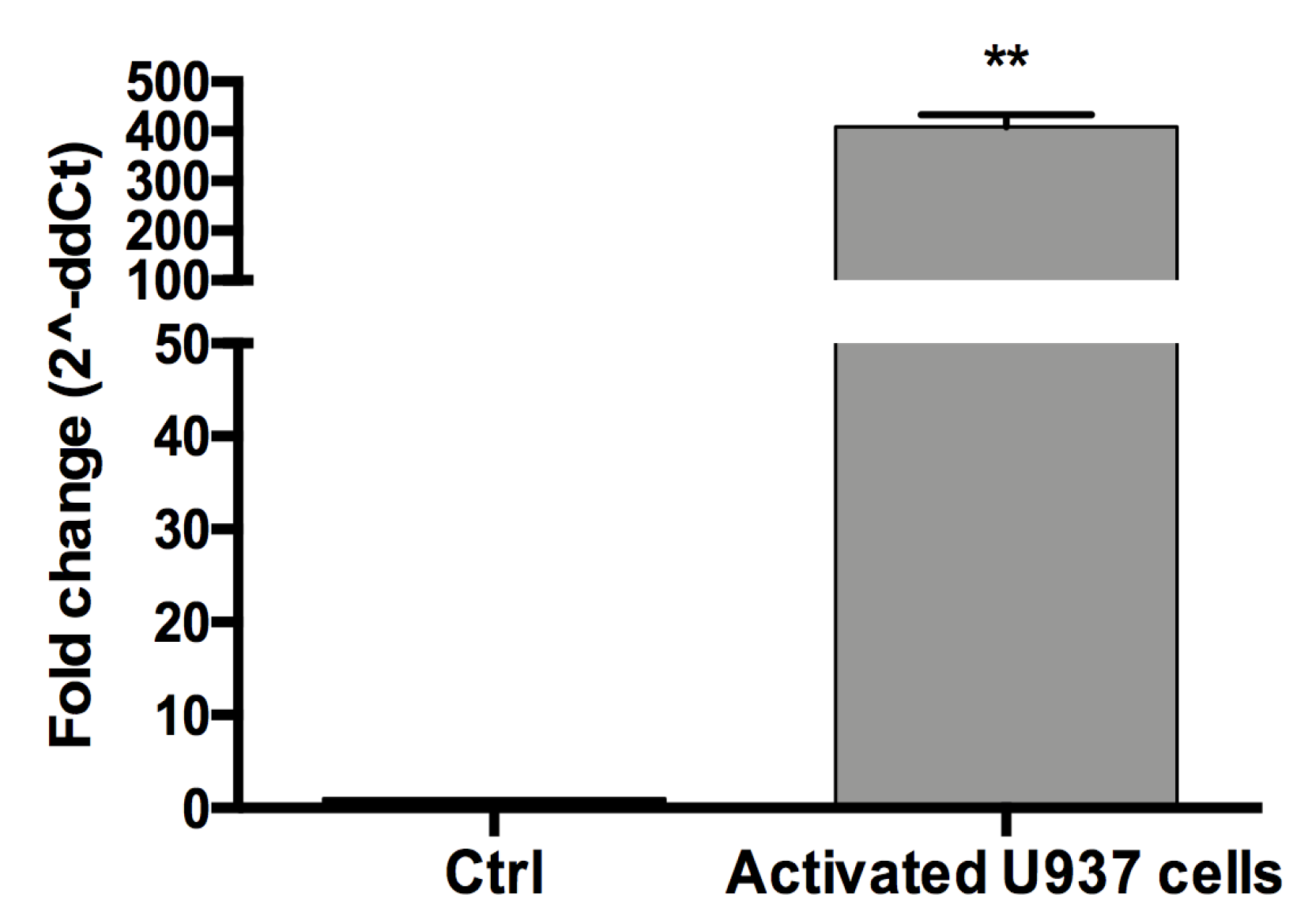 Cells 09 01328 g002 Cells 09 01328 g002
