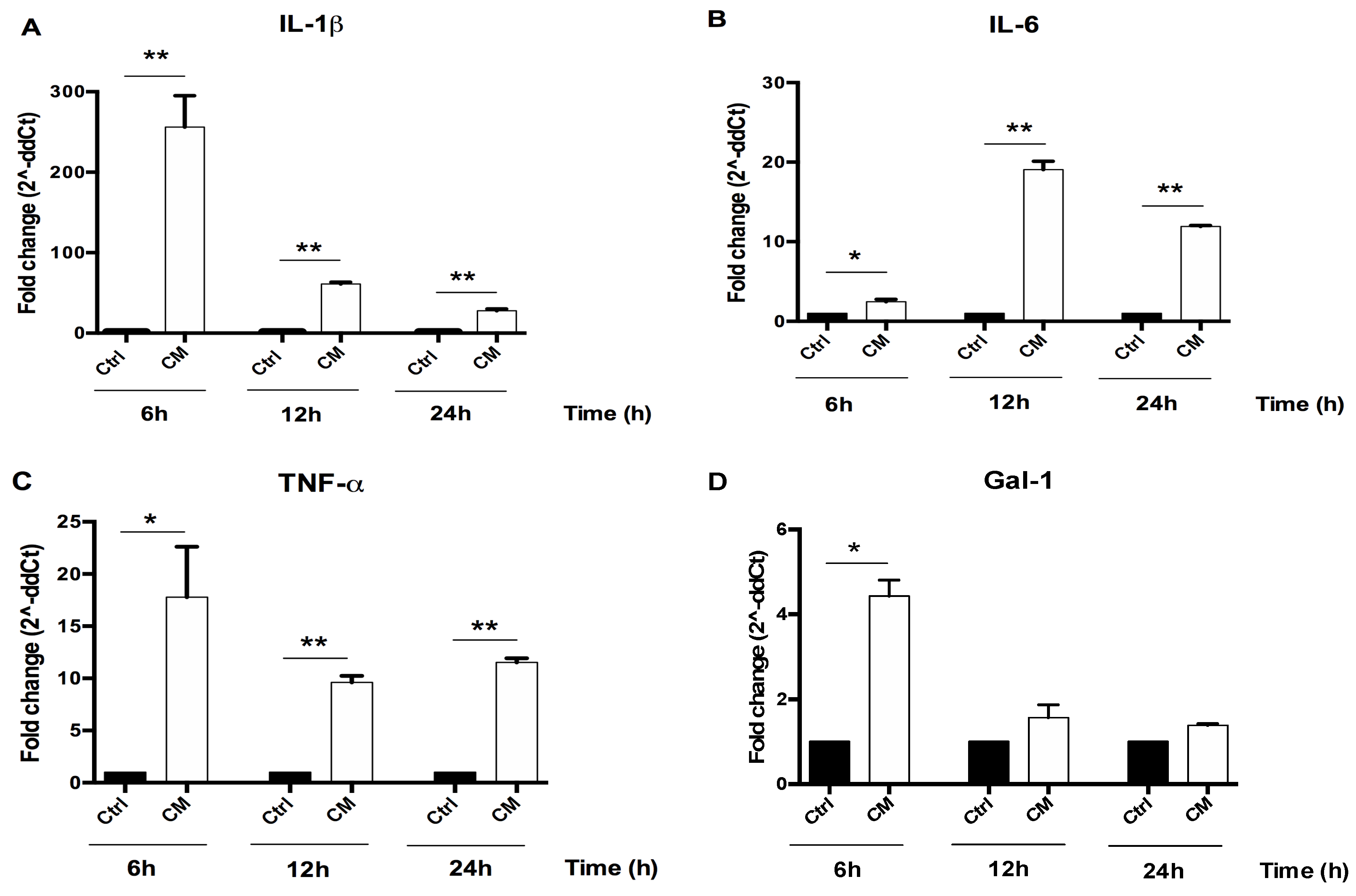 Cells 09 01328 g003 Cells 09 01328 g003