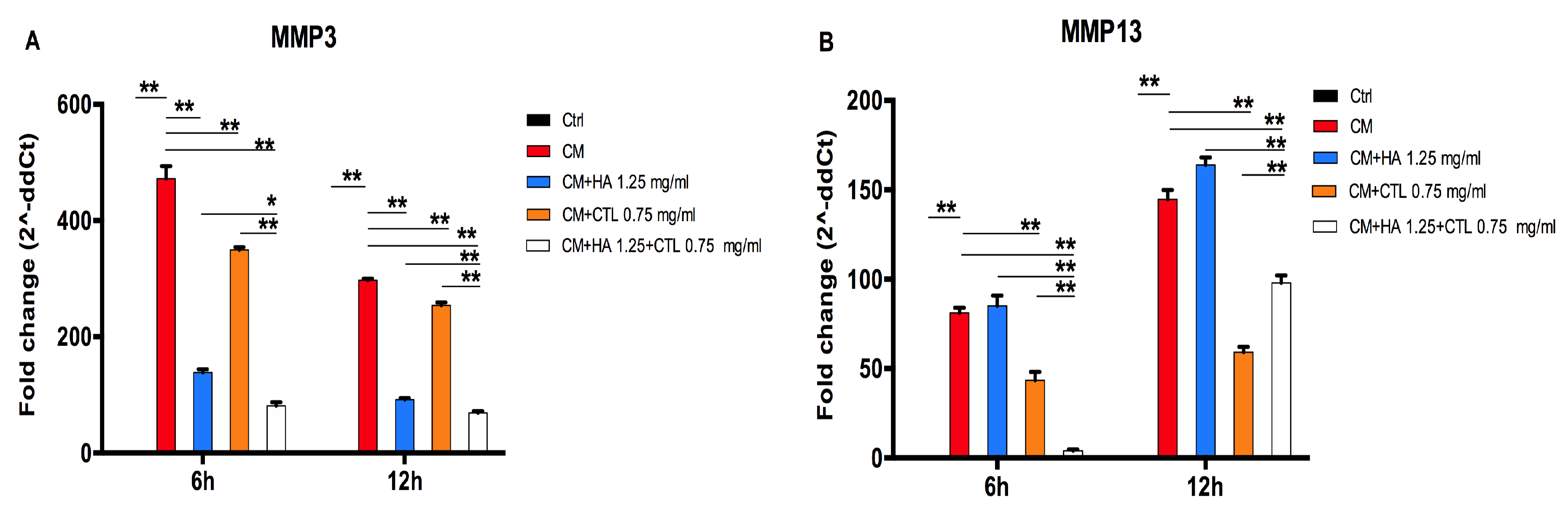 Cells 09 01328 g006 Cells 09 01328 g006