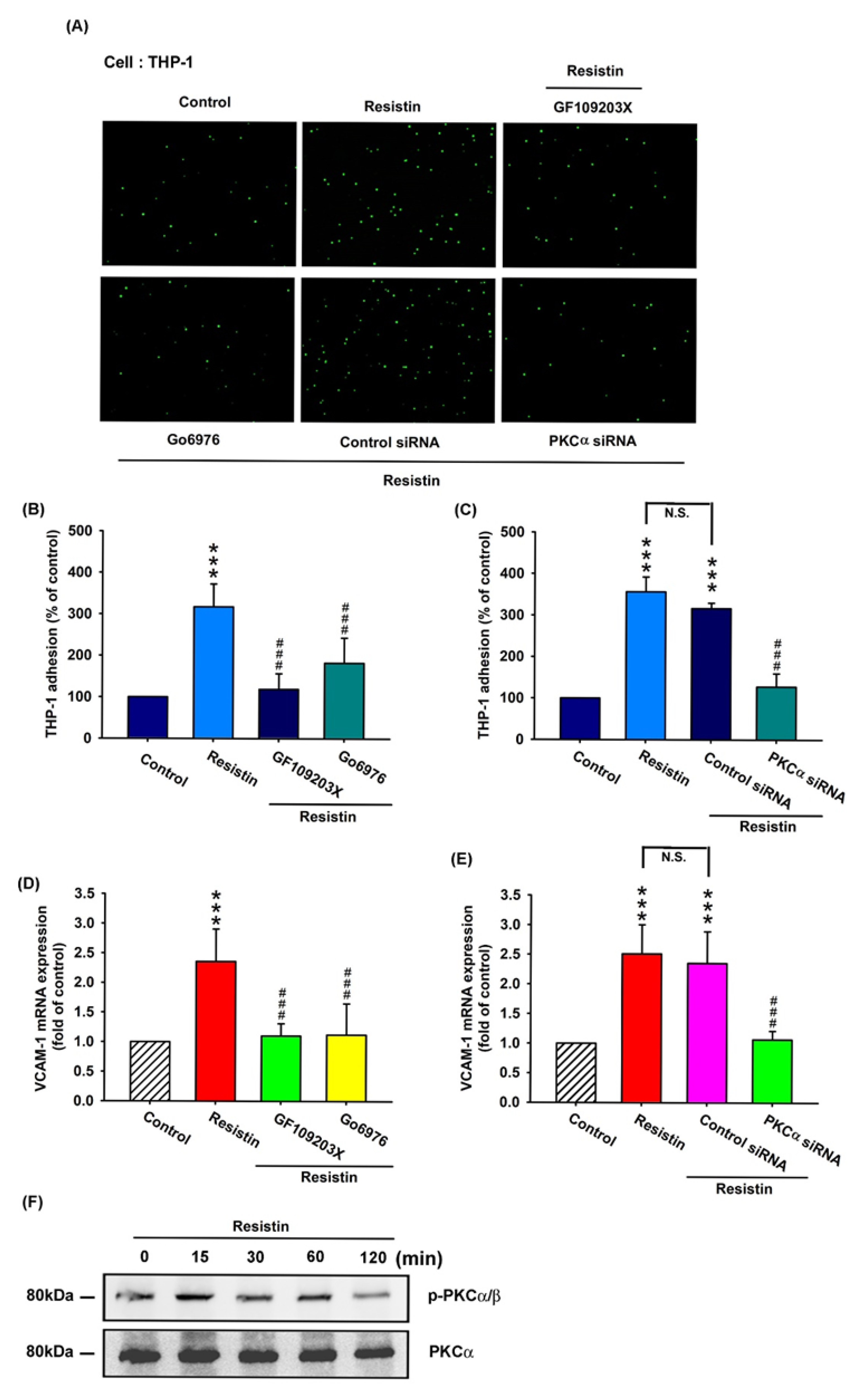 Cells 09 01369 g003 Cells 09 01369 g003