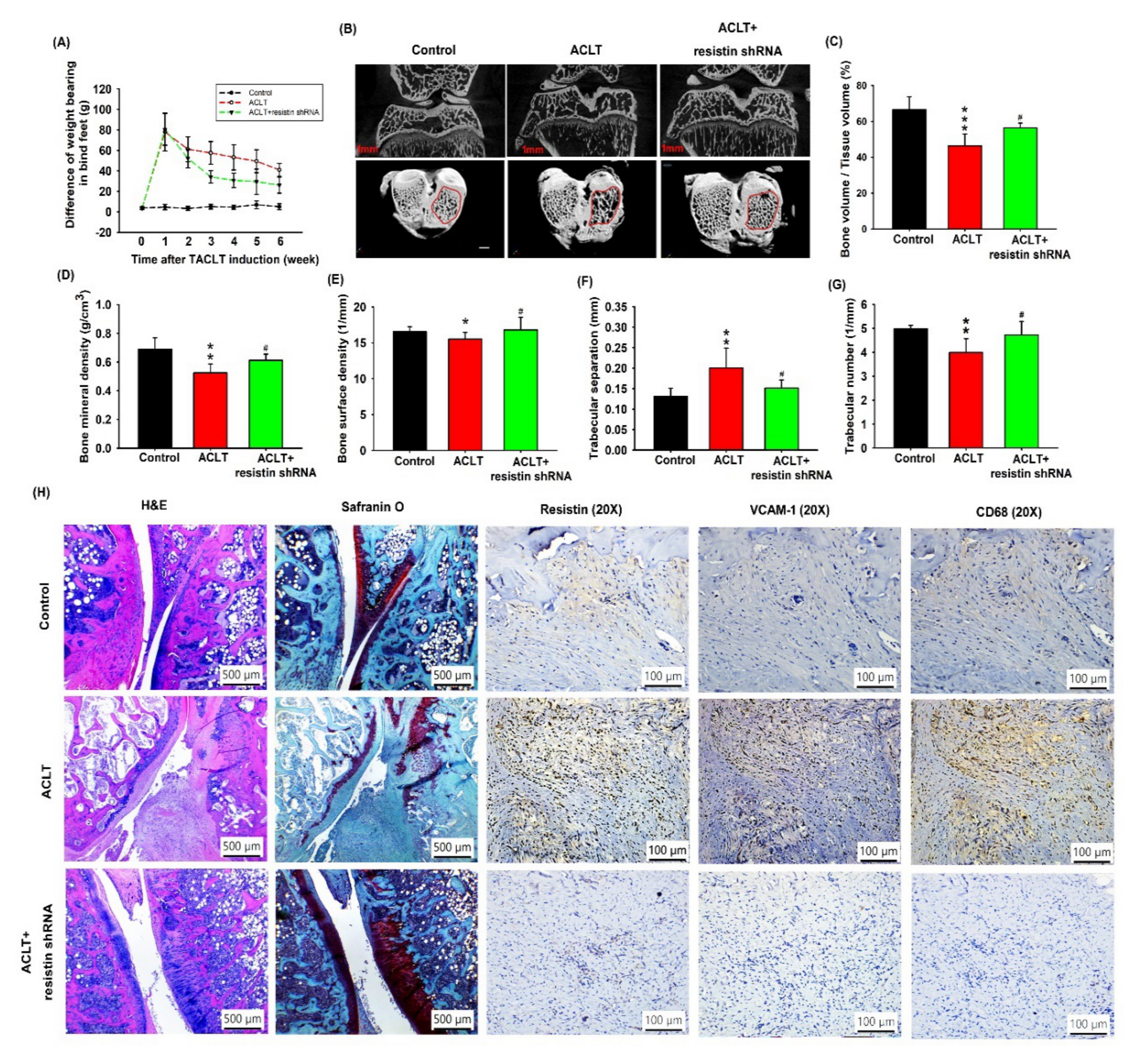 Cells 09 01369 g006 Cells 09 01369 g006